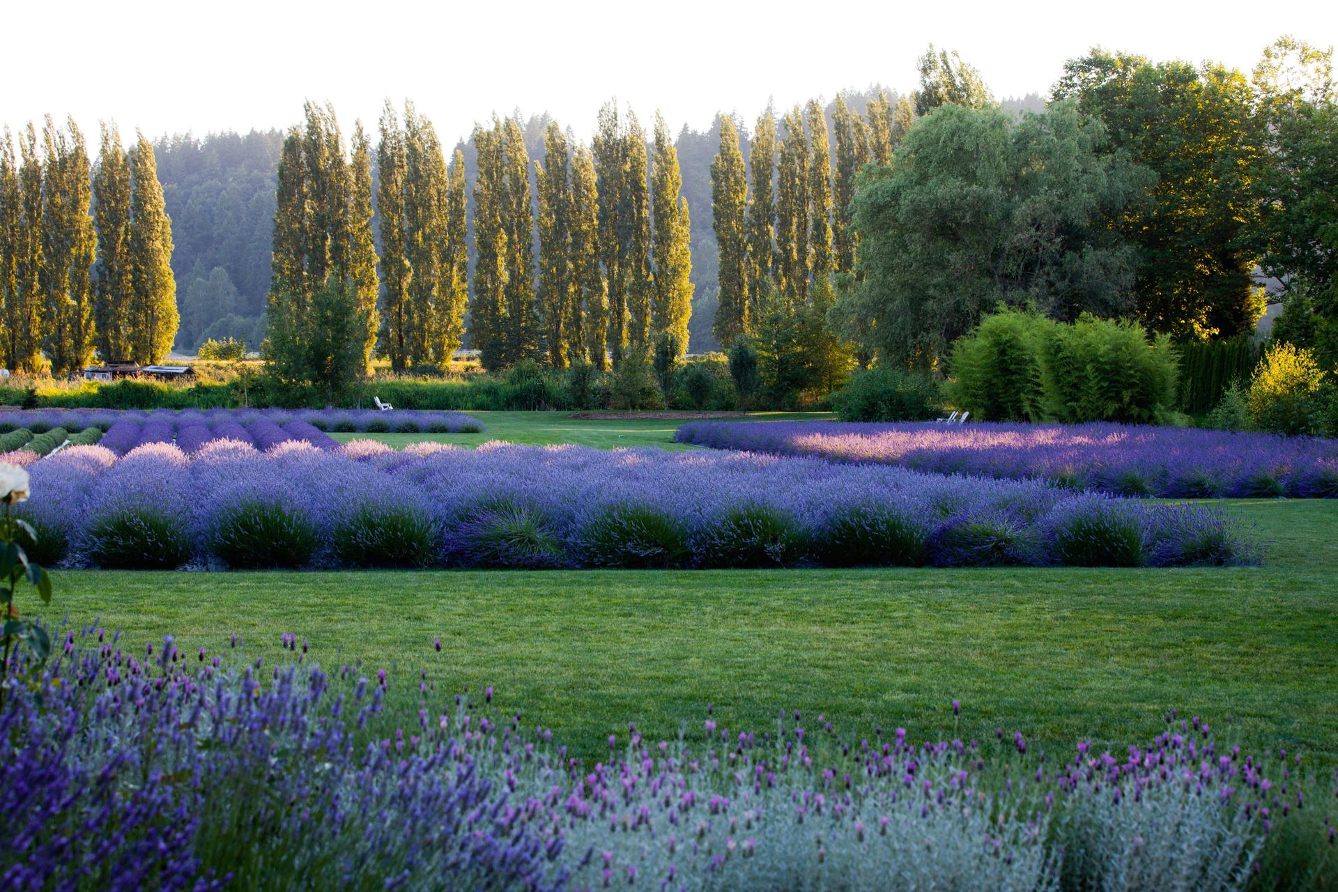 Outdoor Space