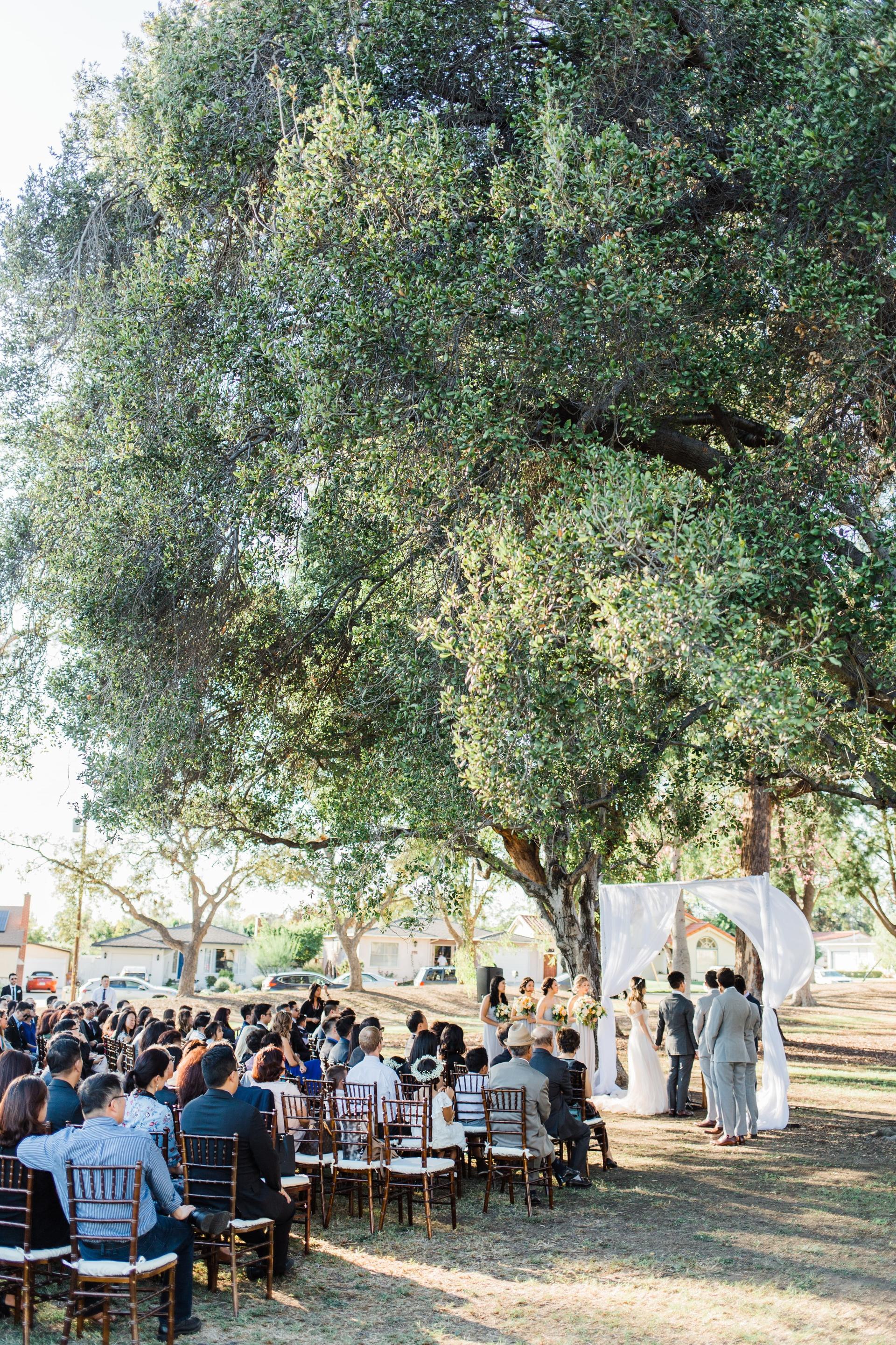 The Main Lawn