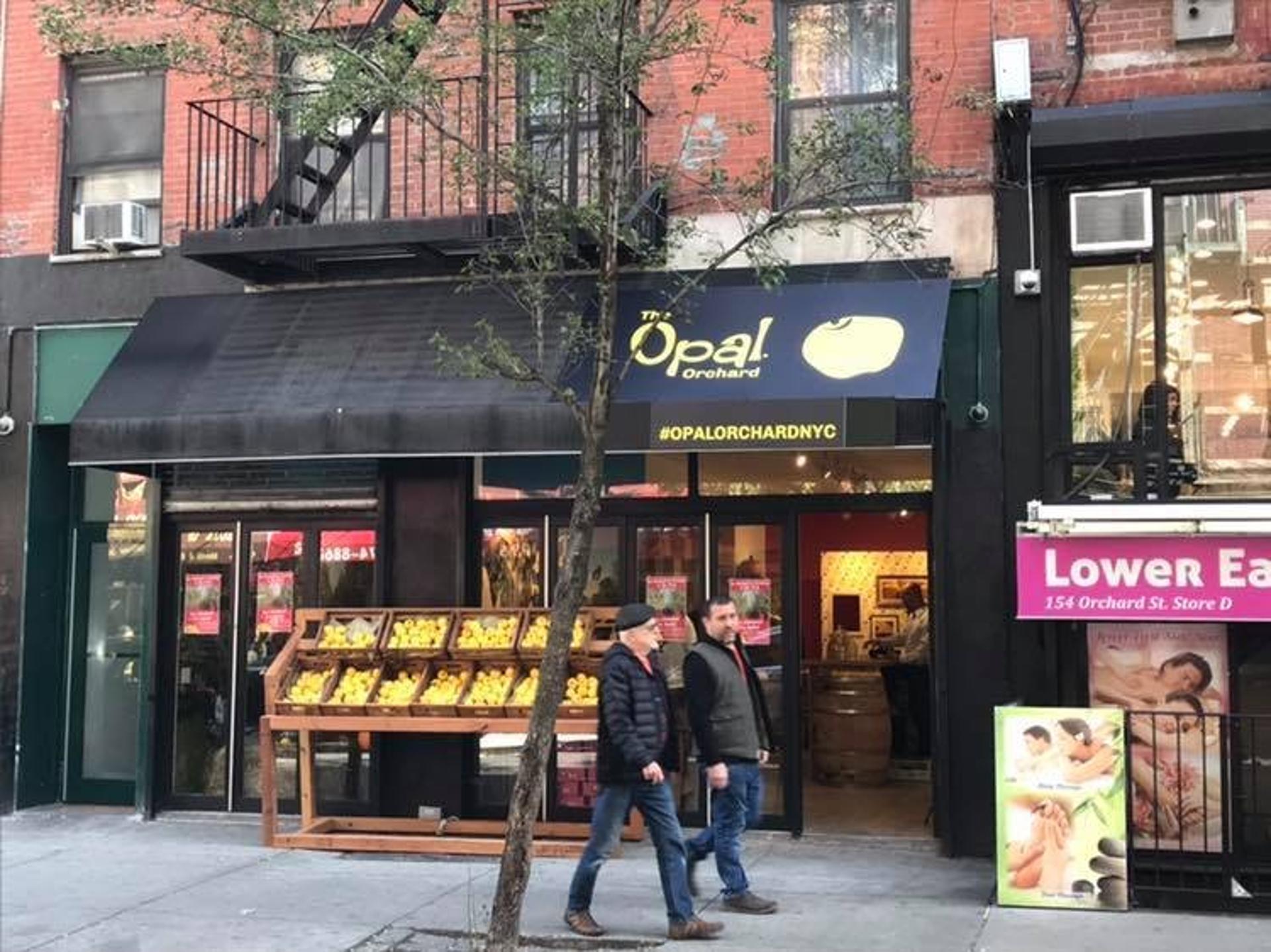 #OpalOrchardNYC