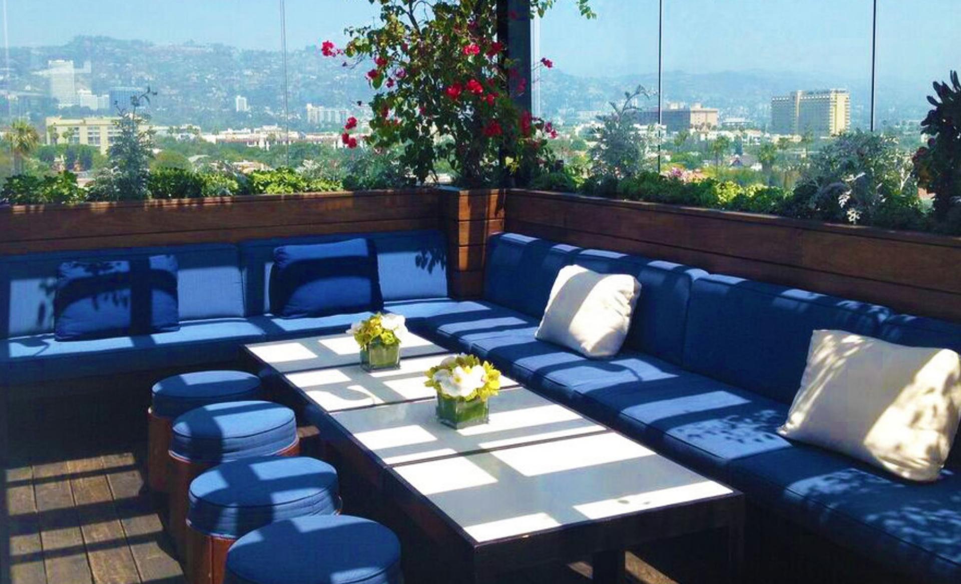 Cocktail Trellis + Adjacent 