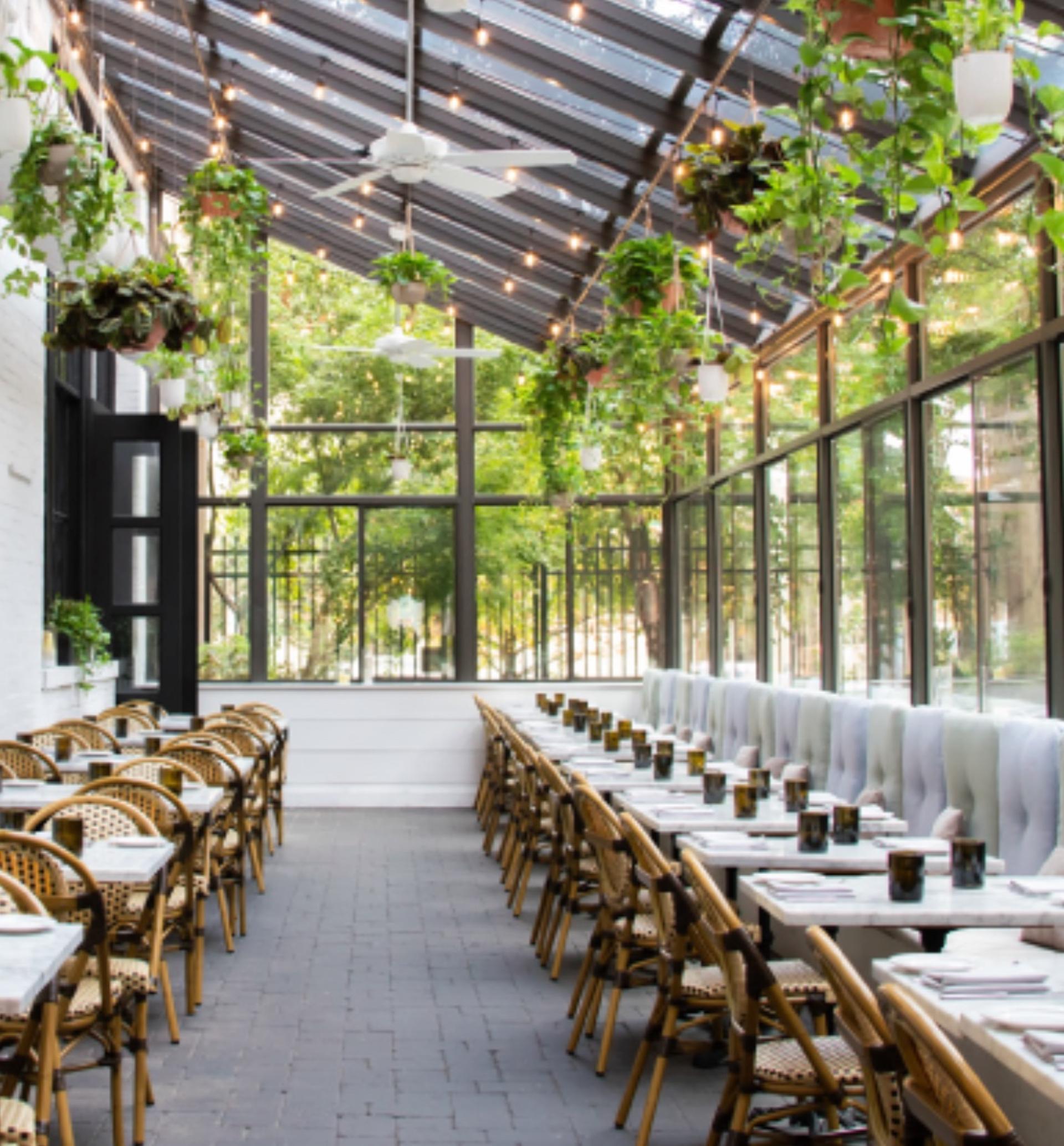 The Glass Greenhouse