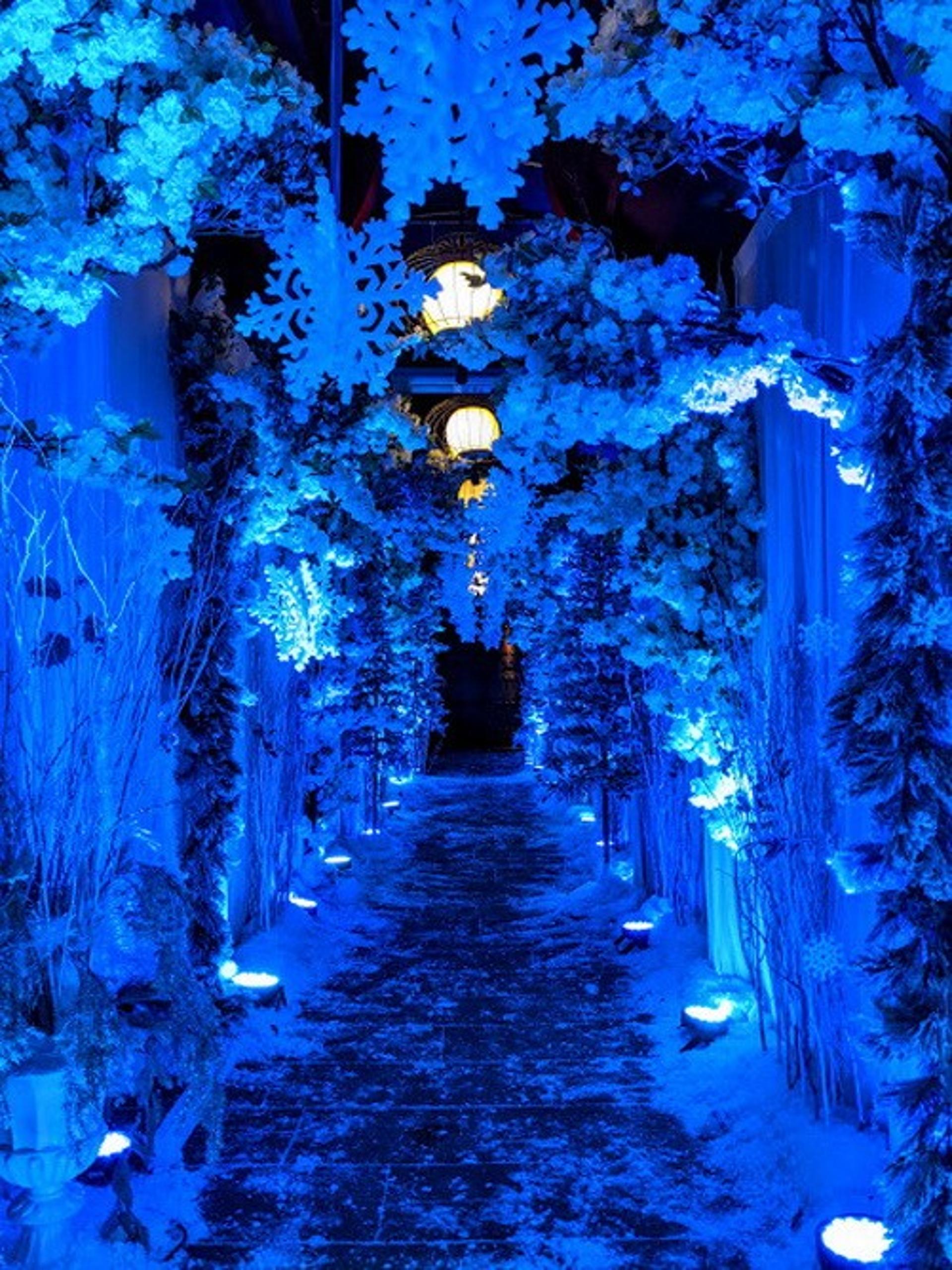 Citadel Winter Wonderland