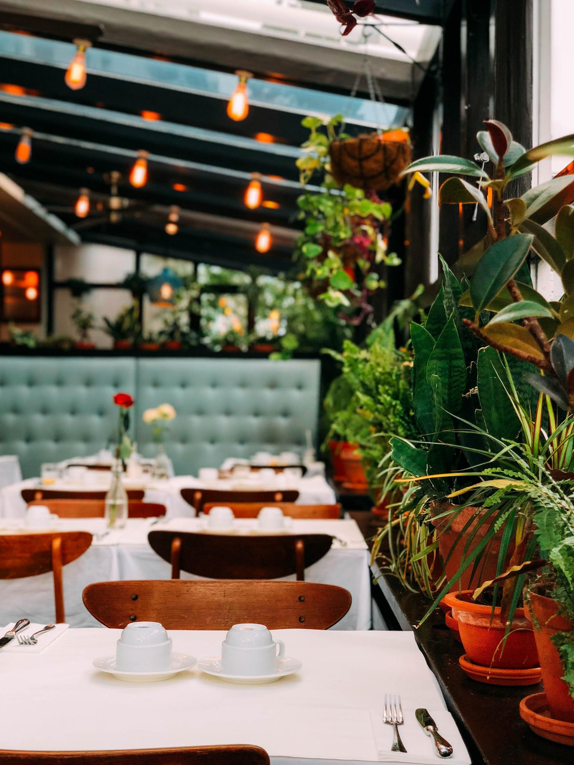 Full Restaurant Buyout