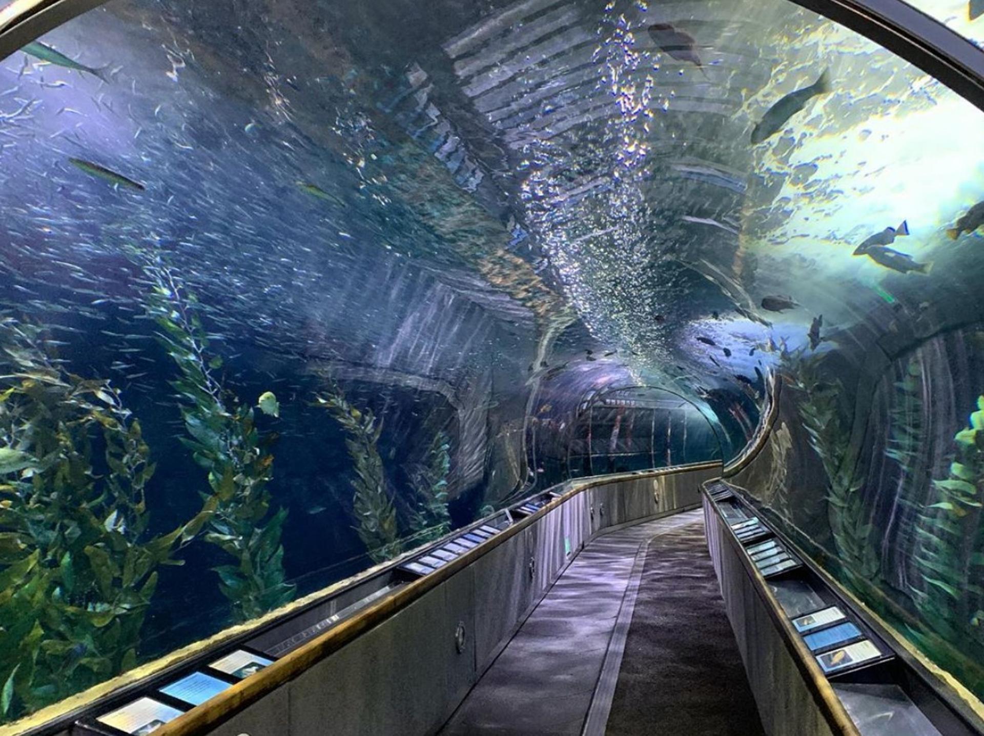 Entire Aquarium