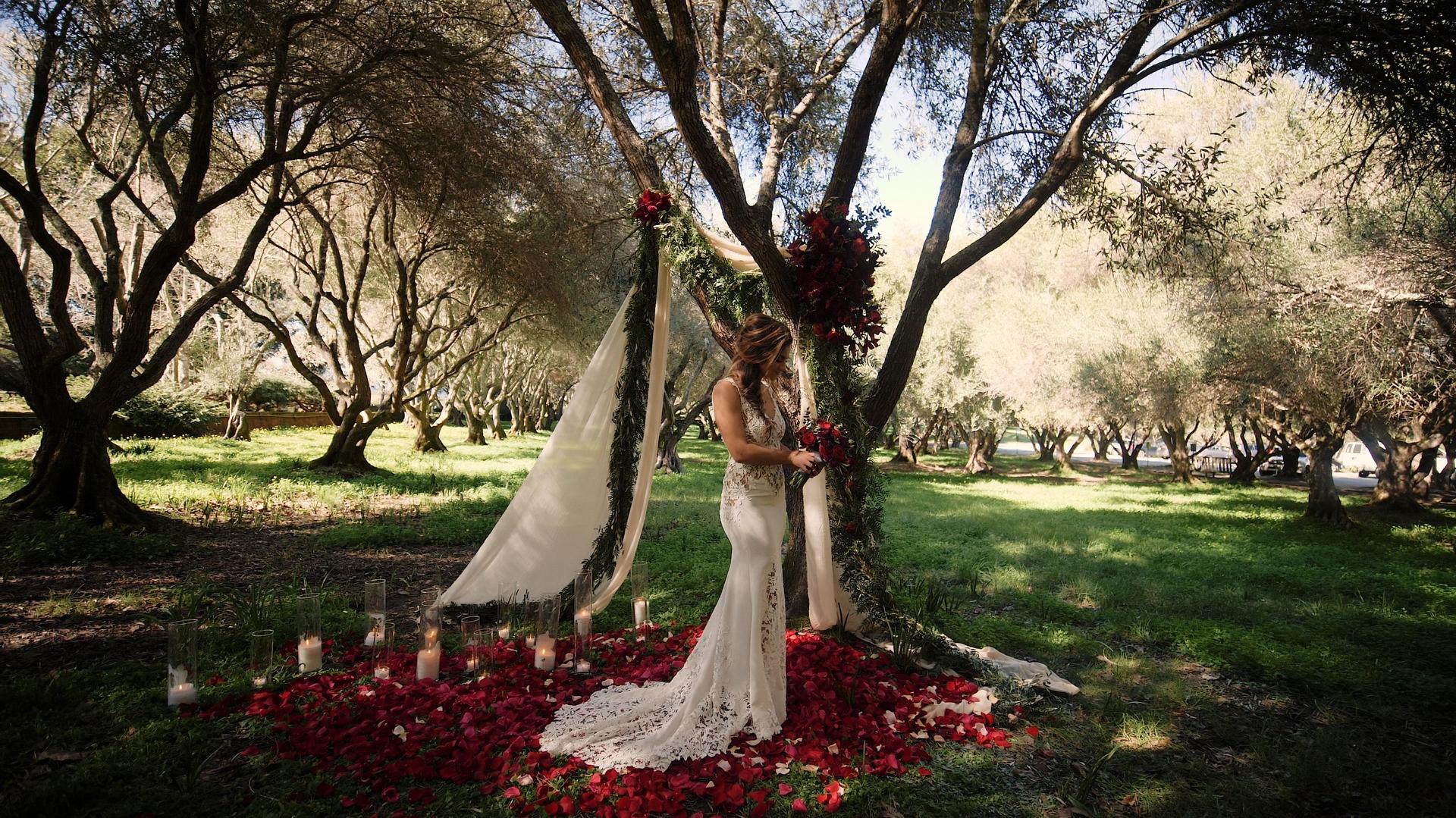 Filoli Gardens Editorial Shoot - Forest 