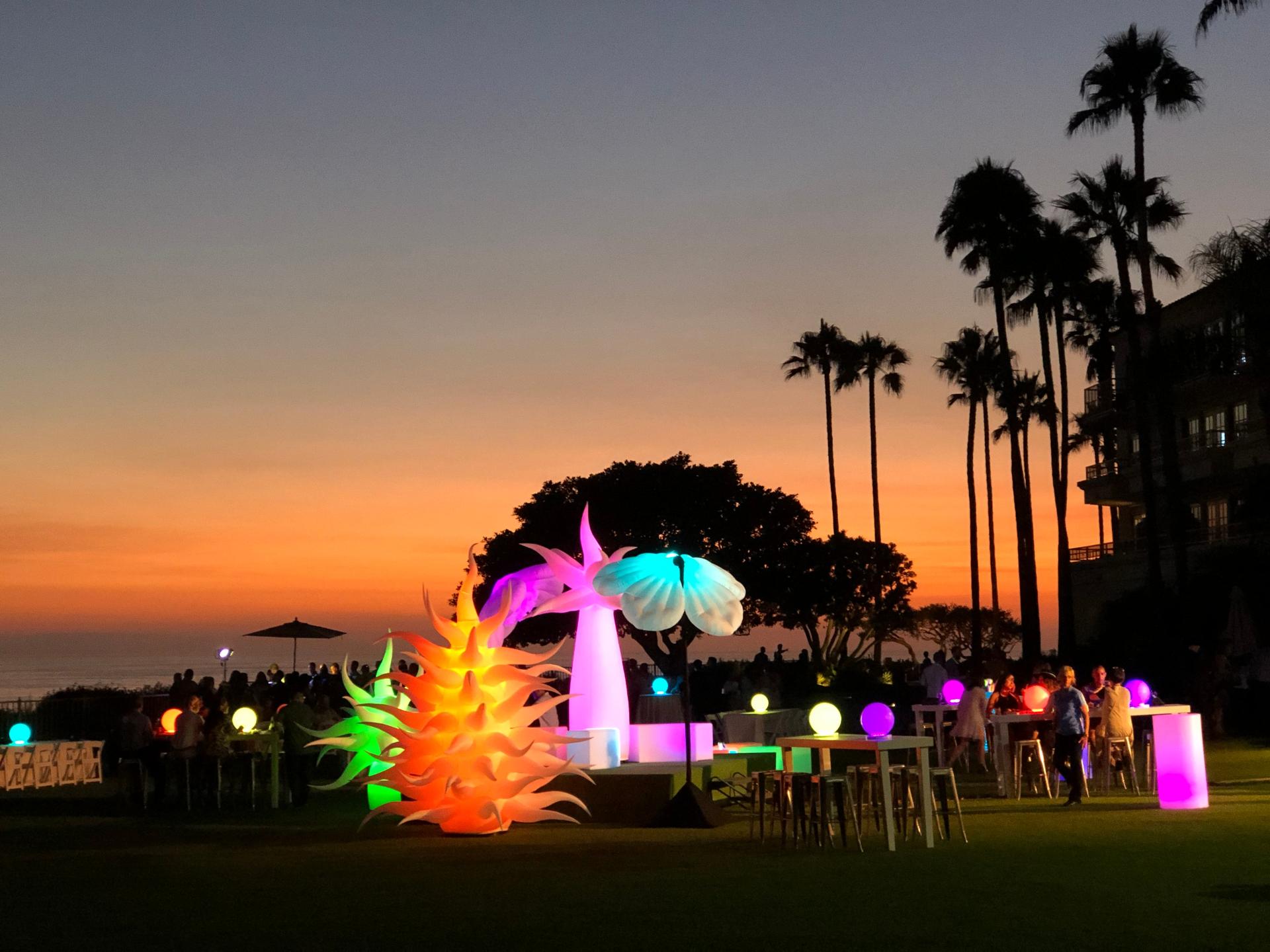 Illumination Garden
