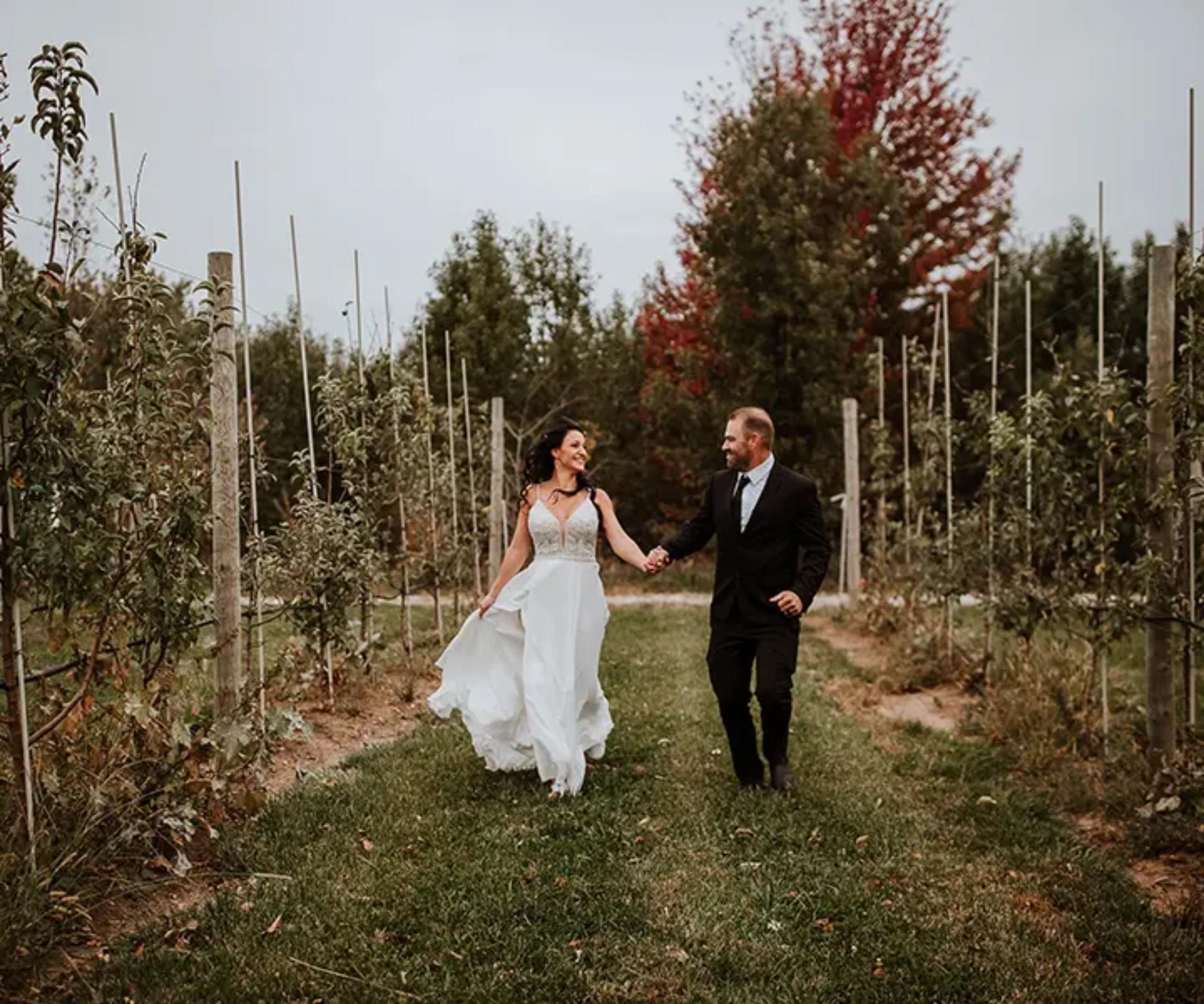 The Orchard