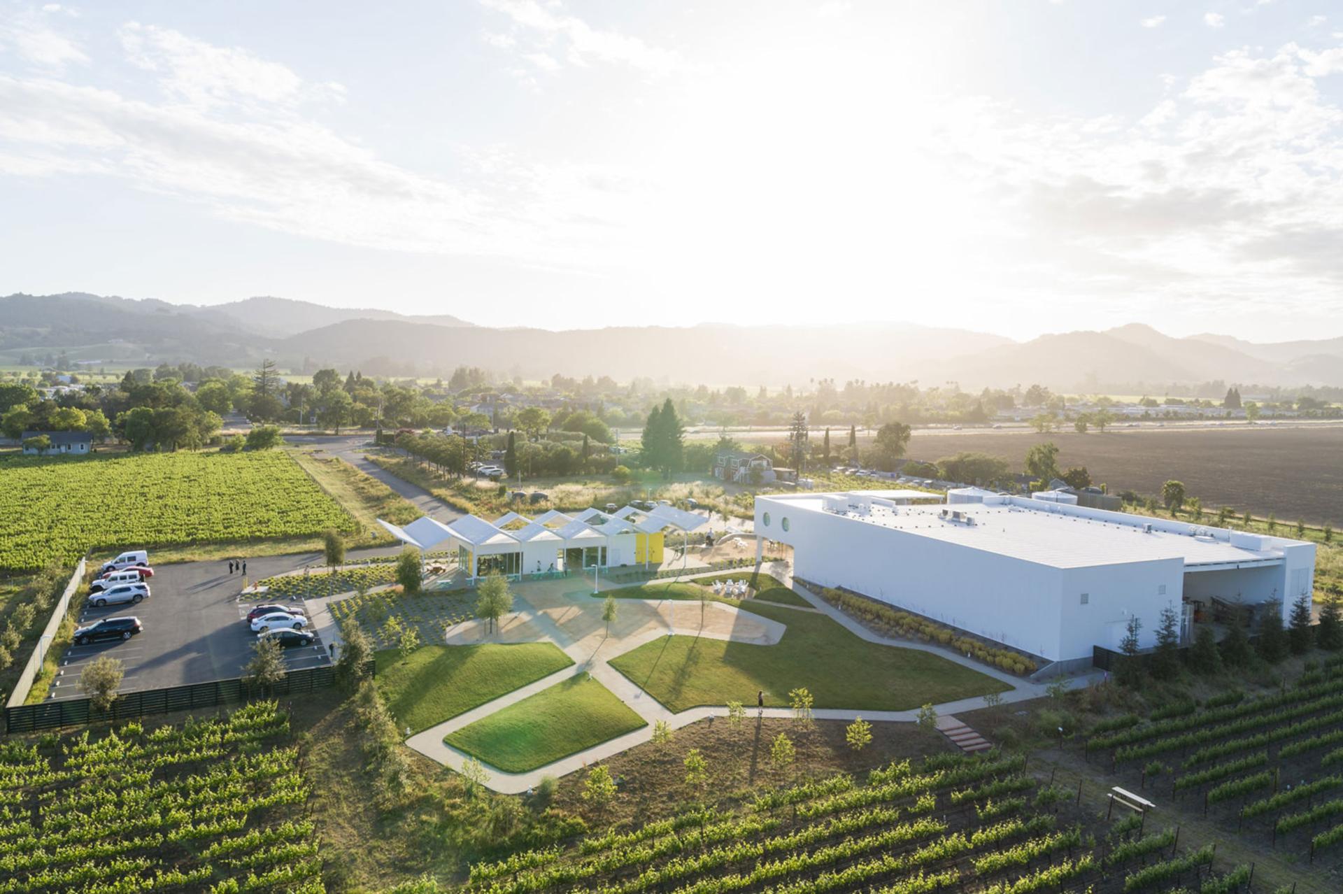 Ashes & Diamonds Winery