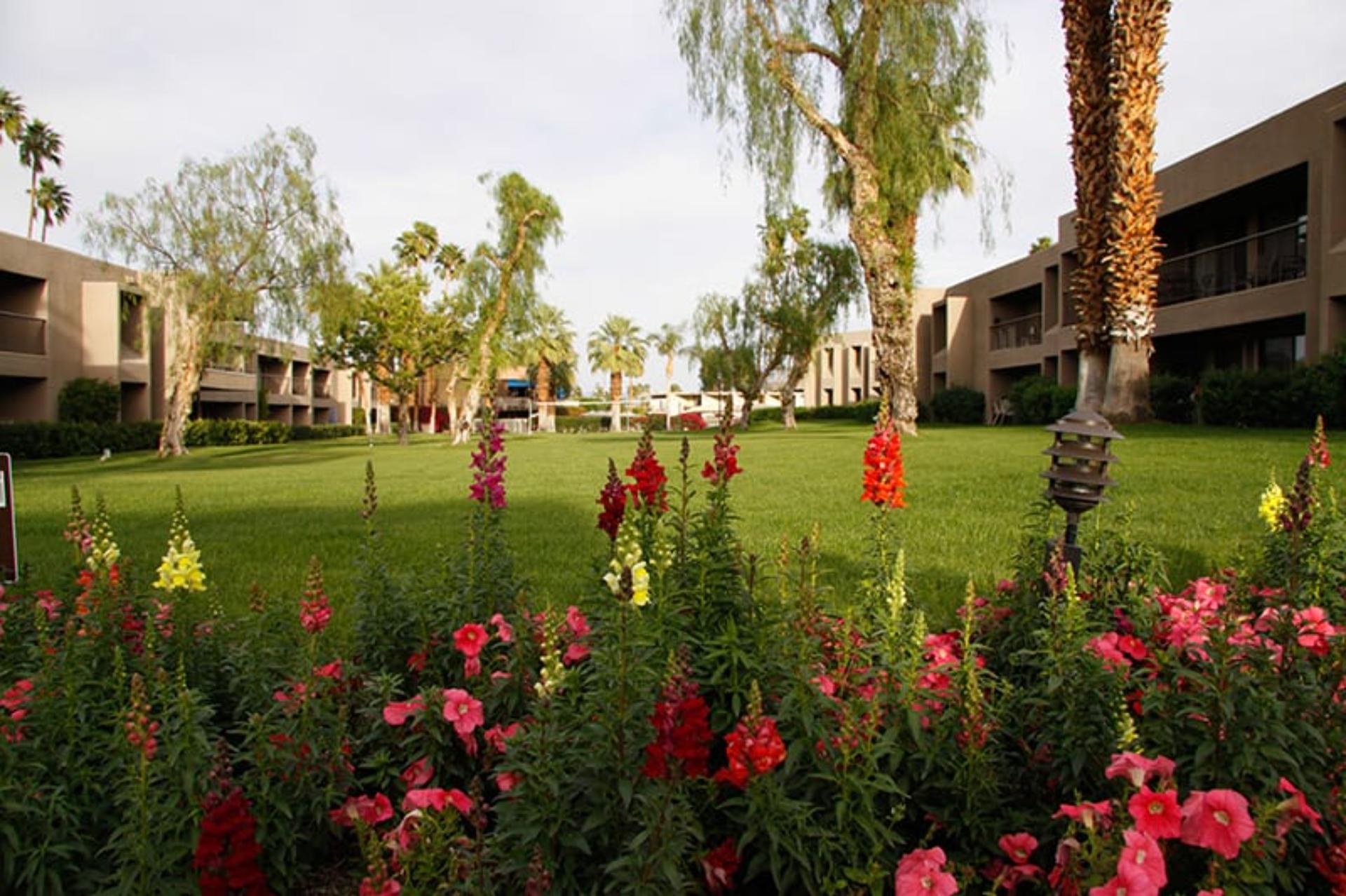 Palm Court