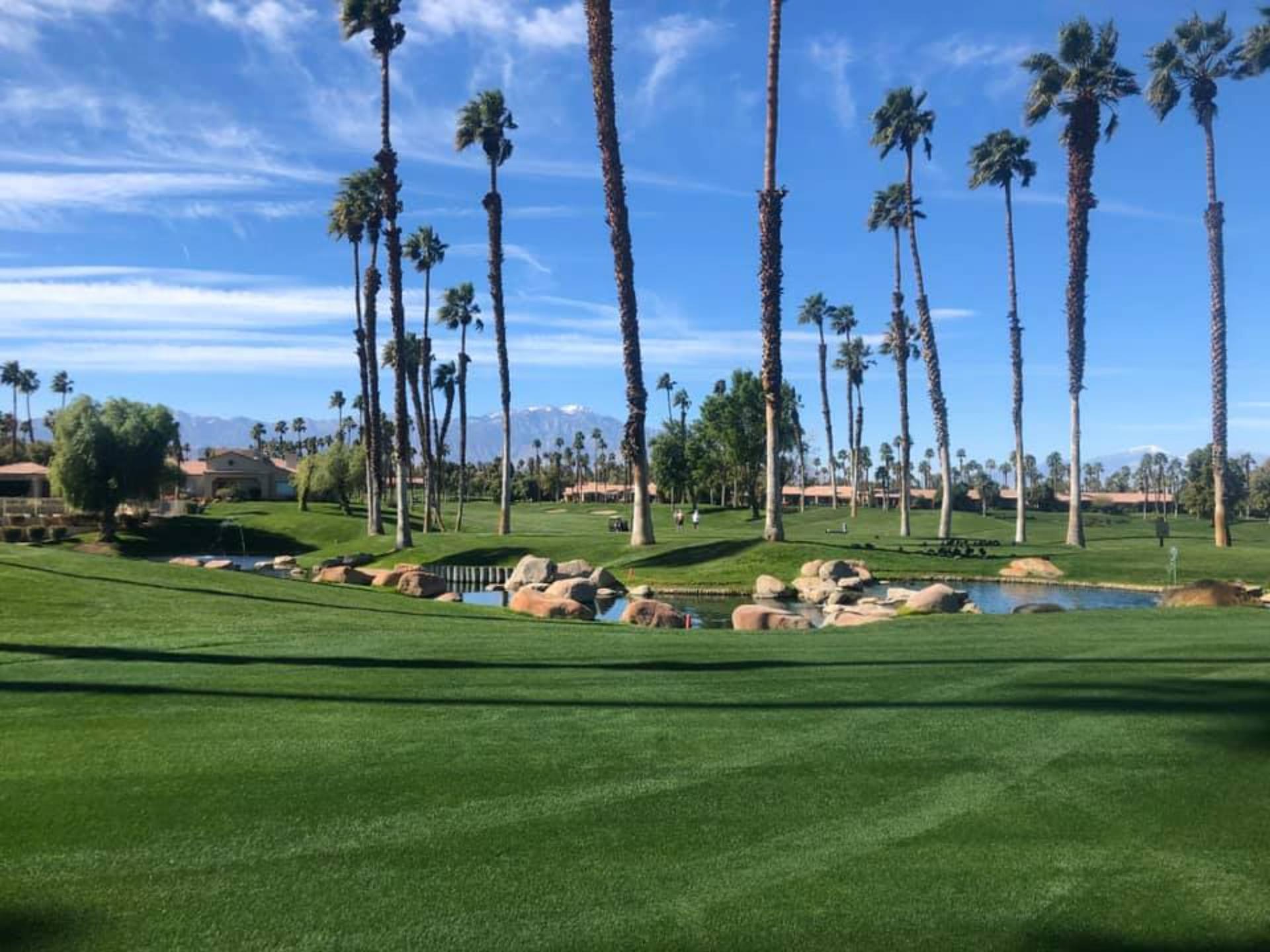 Event Lawn