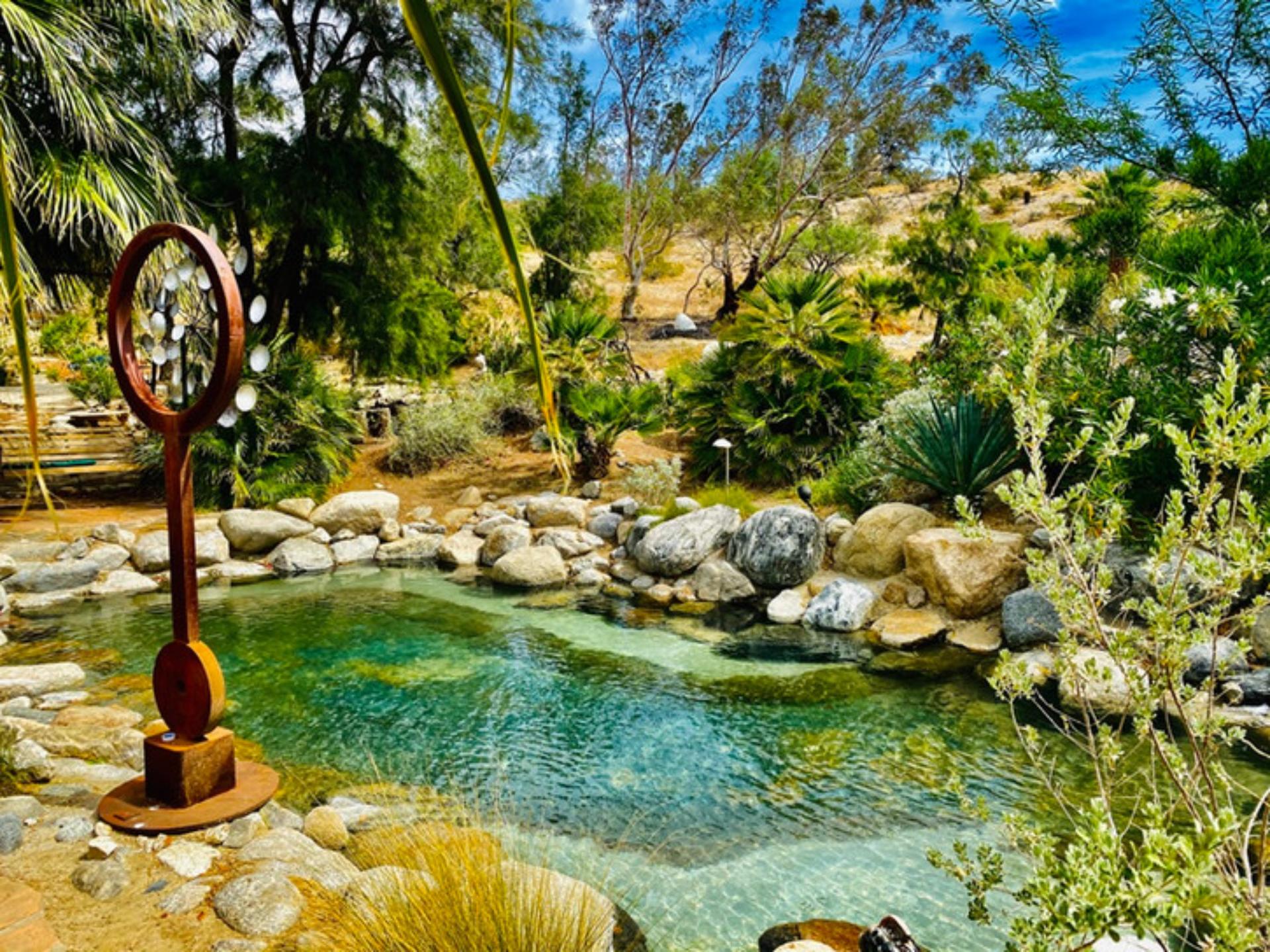 Mystical Mesquite Orchard & Sandy Pond