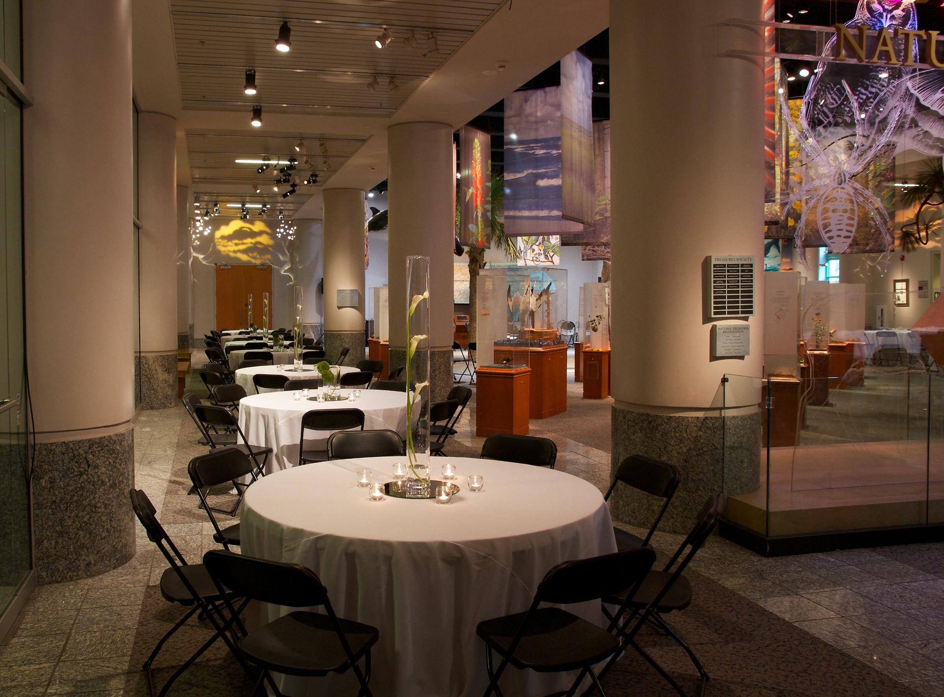 NEC 1st Floor Exhibit Areas & WRAL 3D Theater