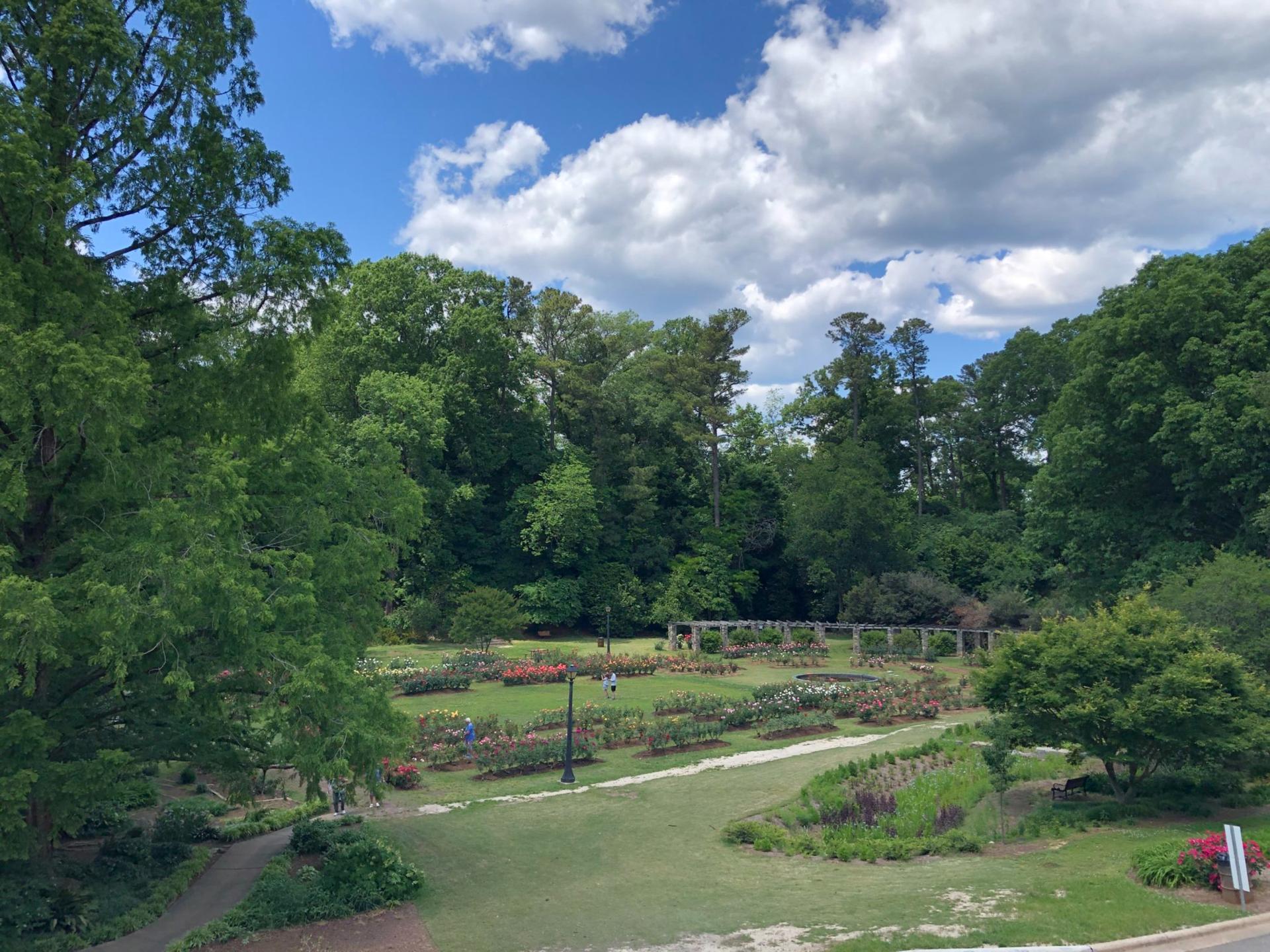 The Stephenson Amphitheatre
