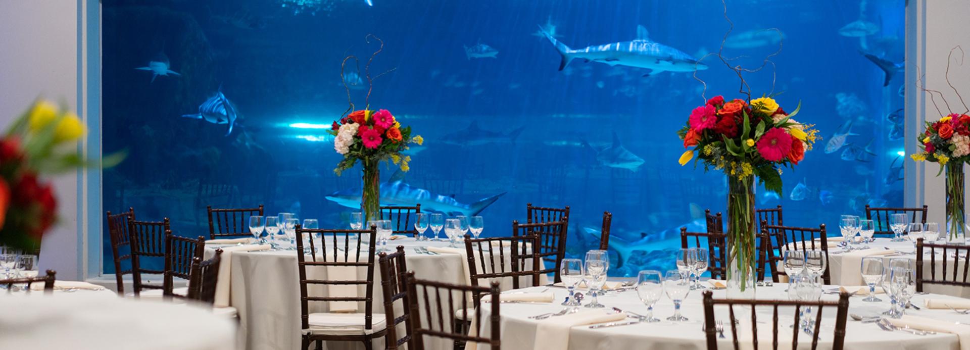 Oceans Ballroom