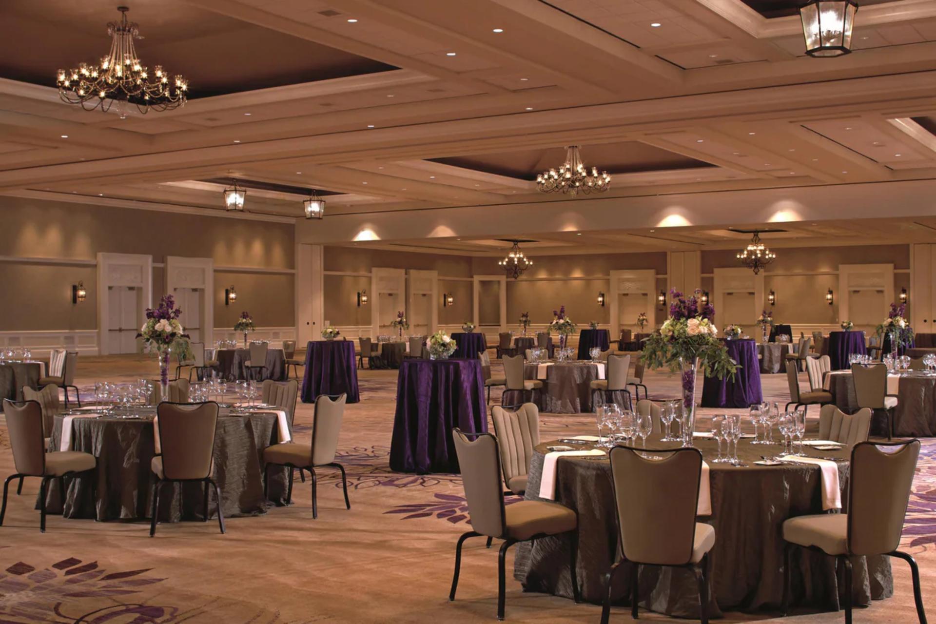 Mediterranean Salon 7