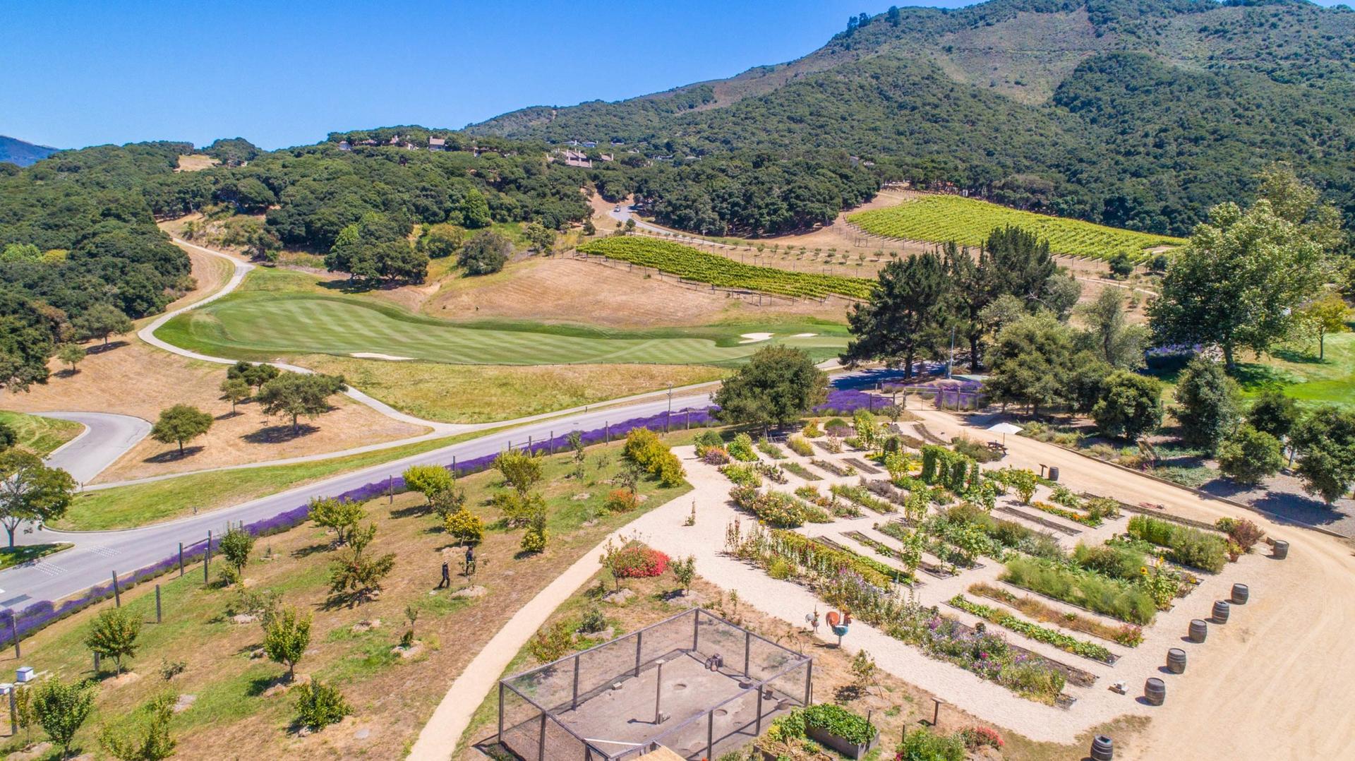 Organic Garden