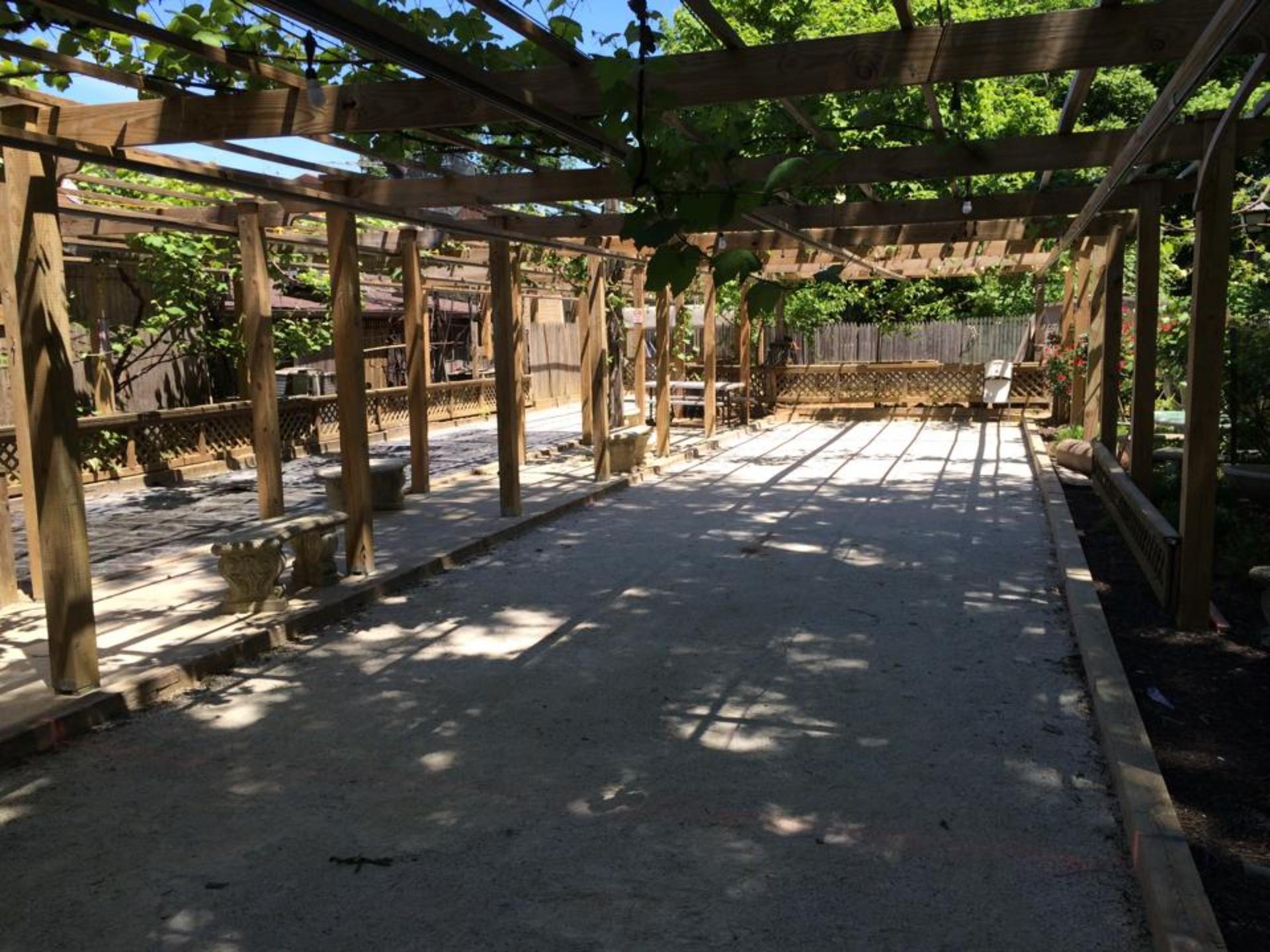 Backyard Vineyard