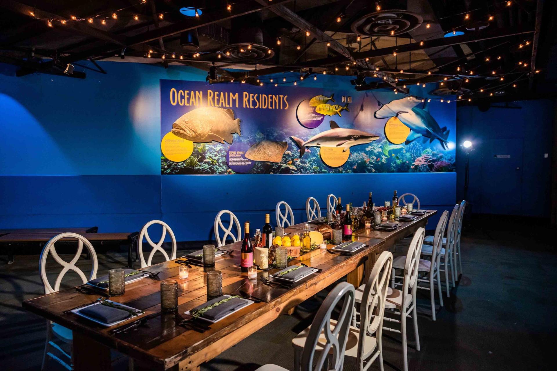 The Ocean Realm Gallery
