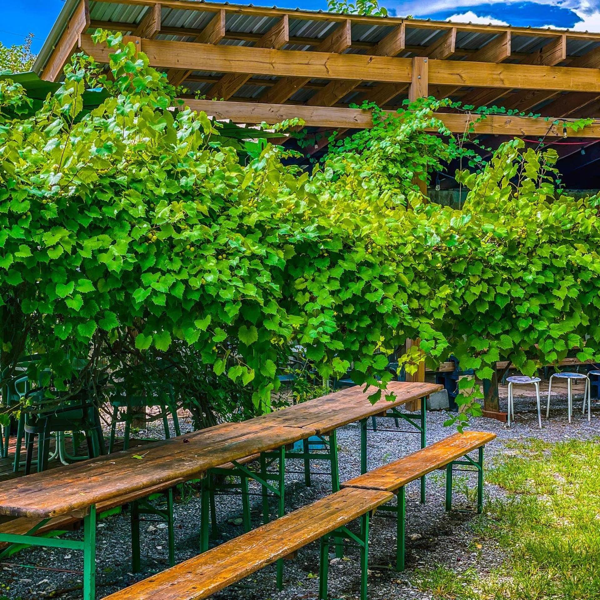 Beer Garden