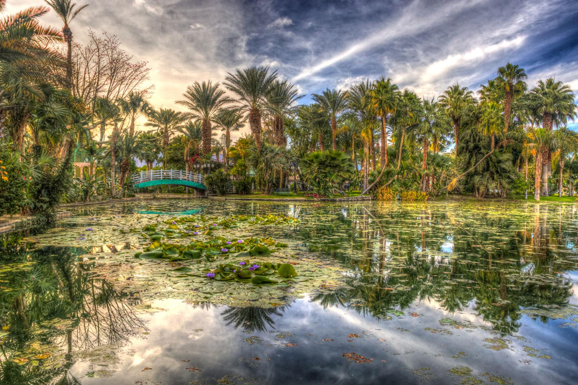 Medjhool Lake