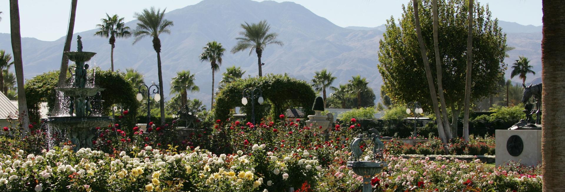 The Rose Garden