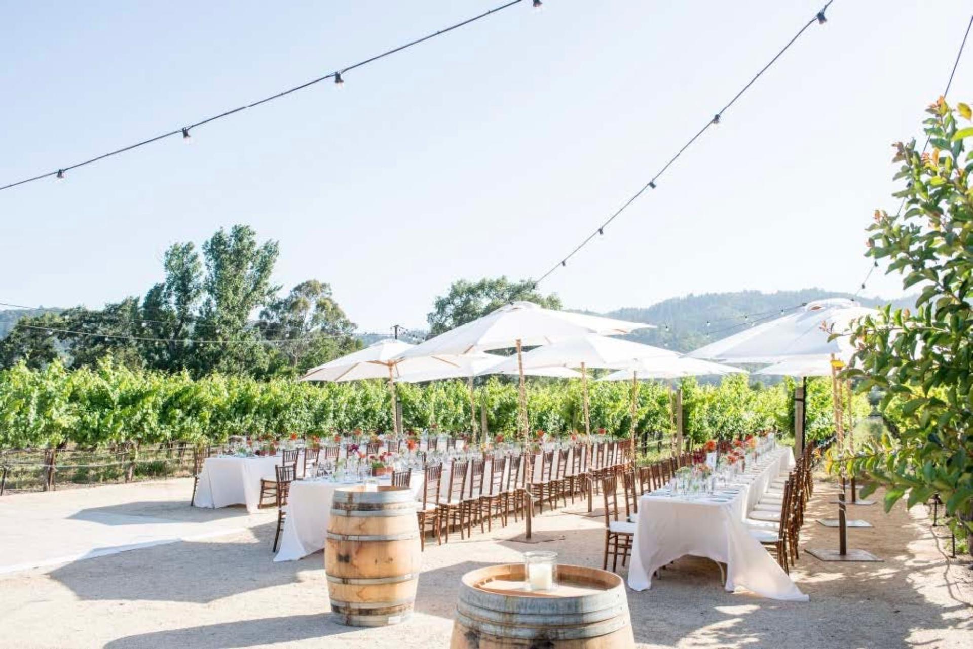 Bari’s Vineyard Dining / Reception Site