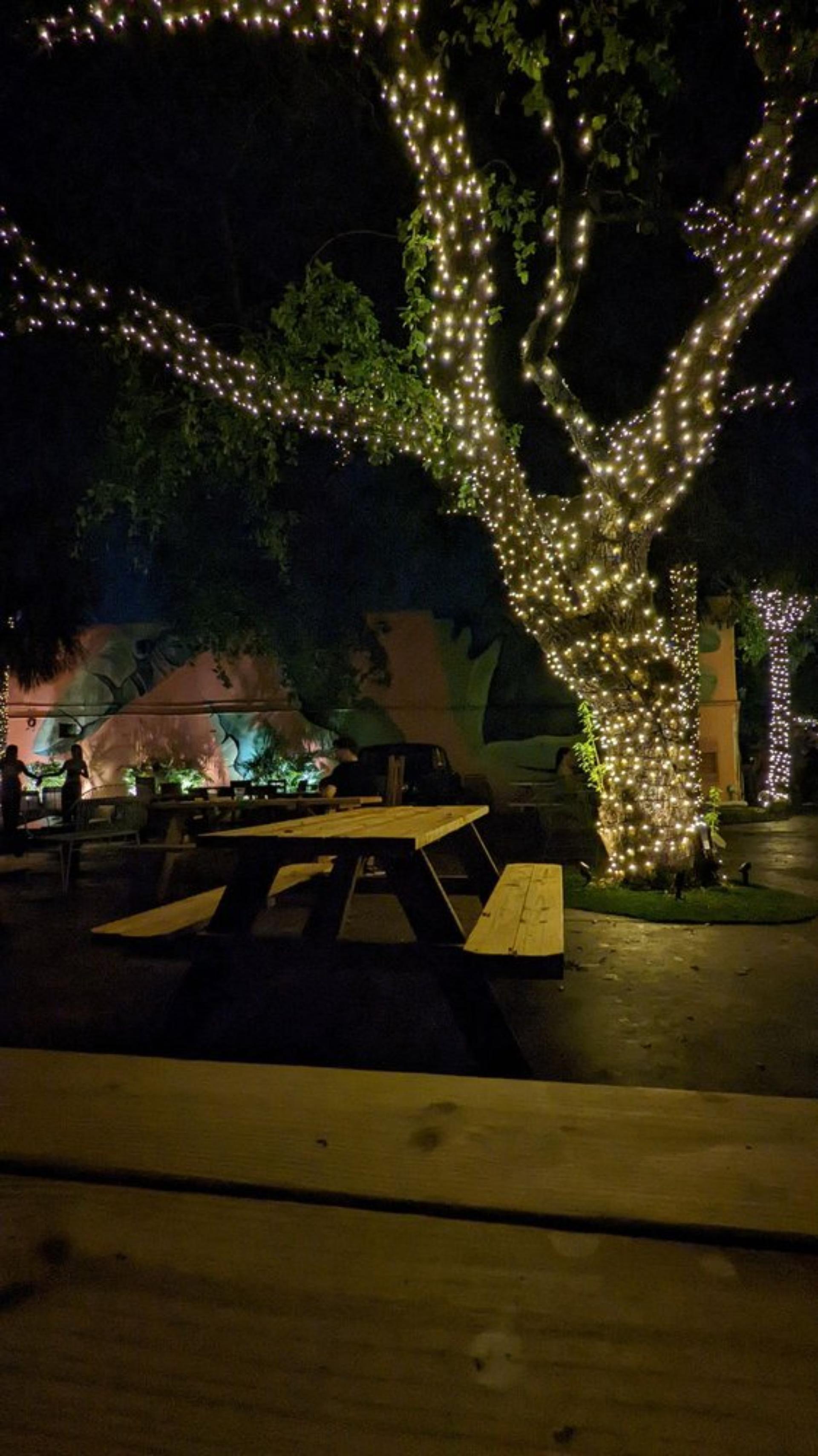 The Yard