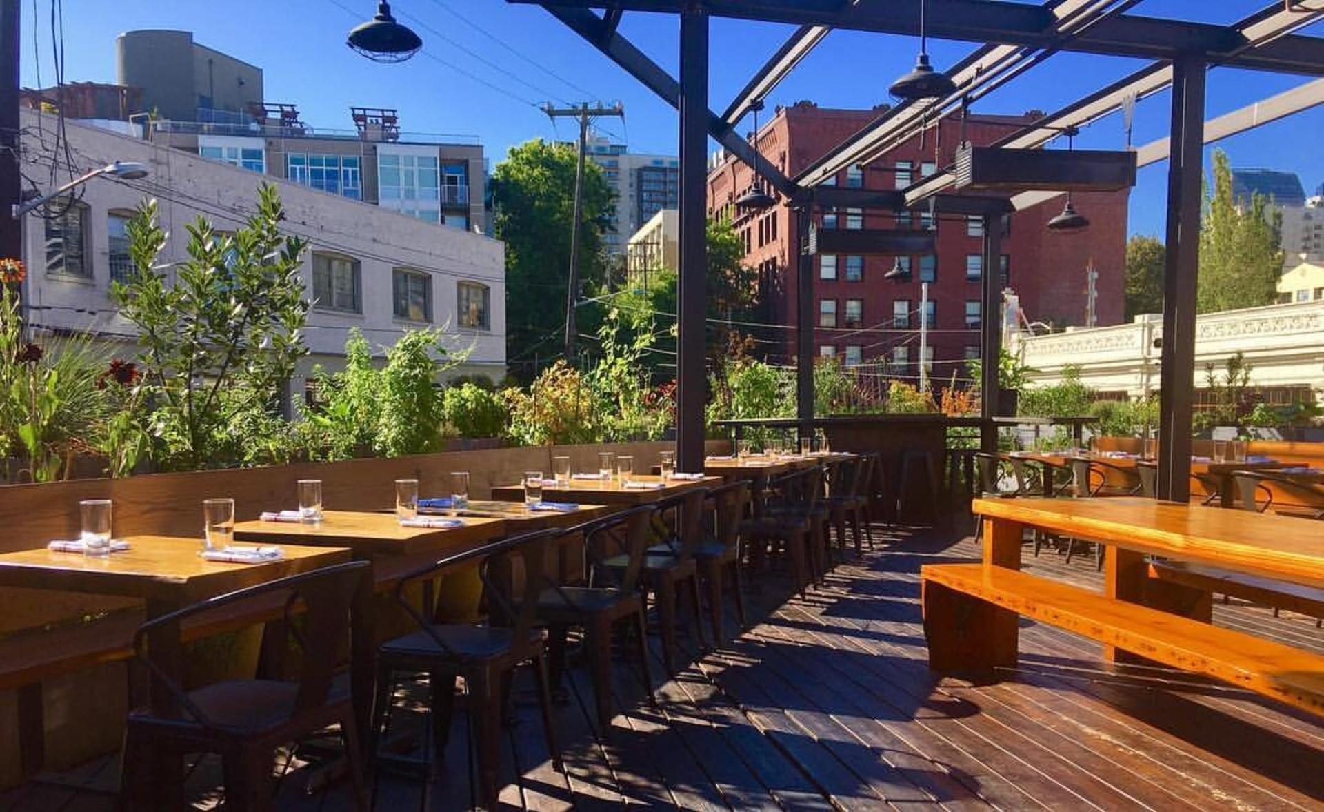 Rooftop Garden
