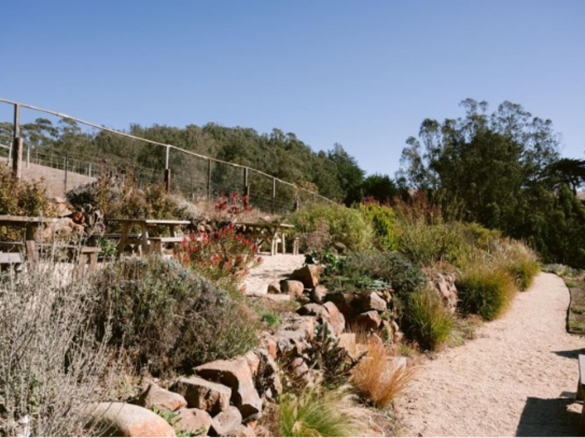 Bayview Garden