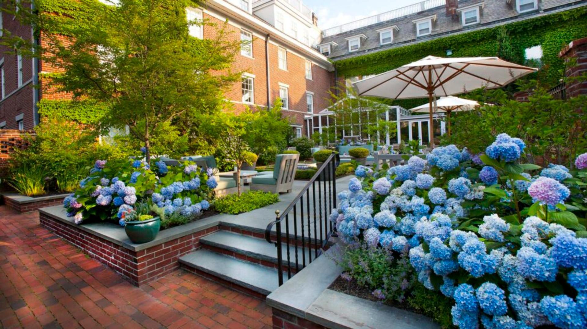 The Garden