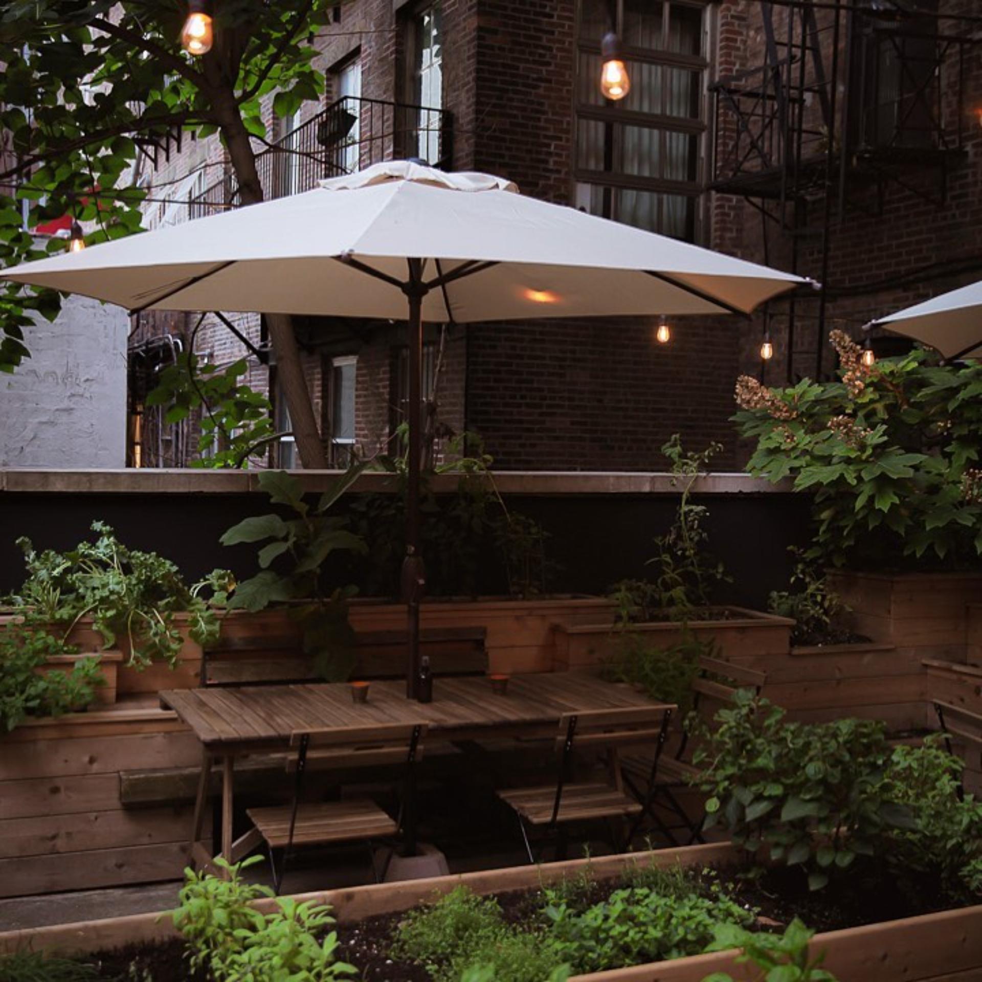 Backyard Garden 