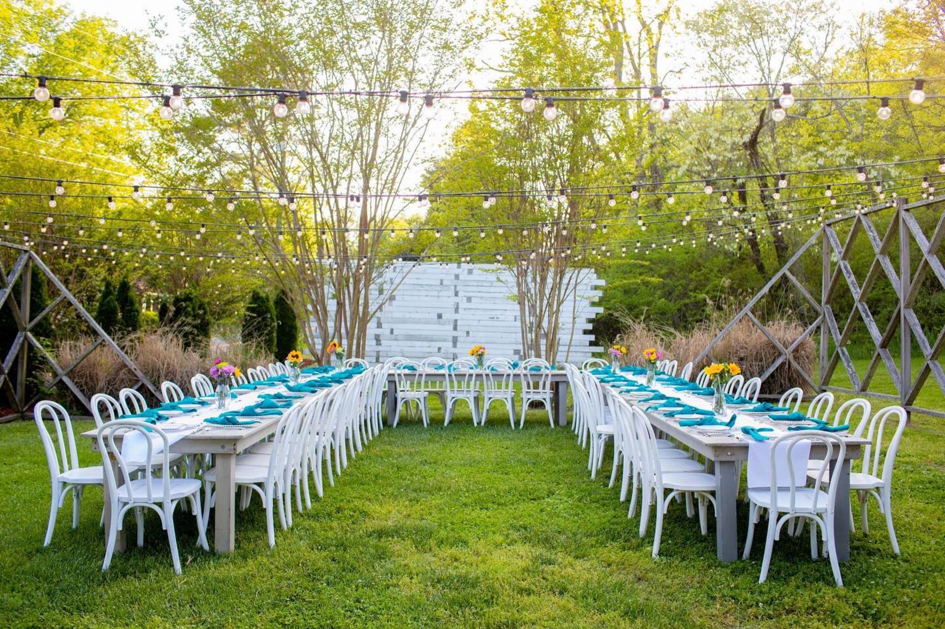Trellised Area