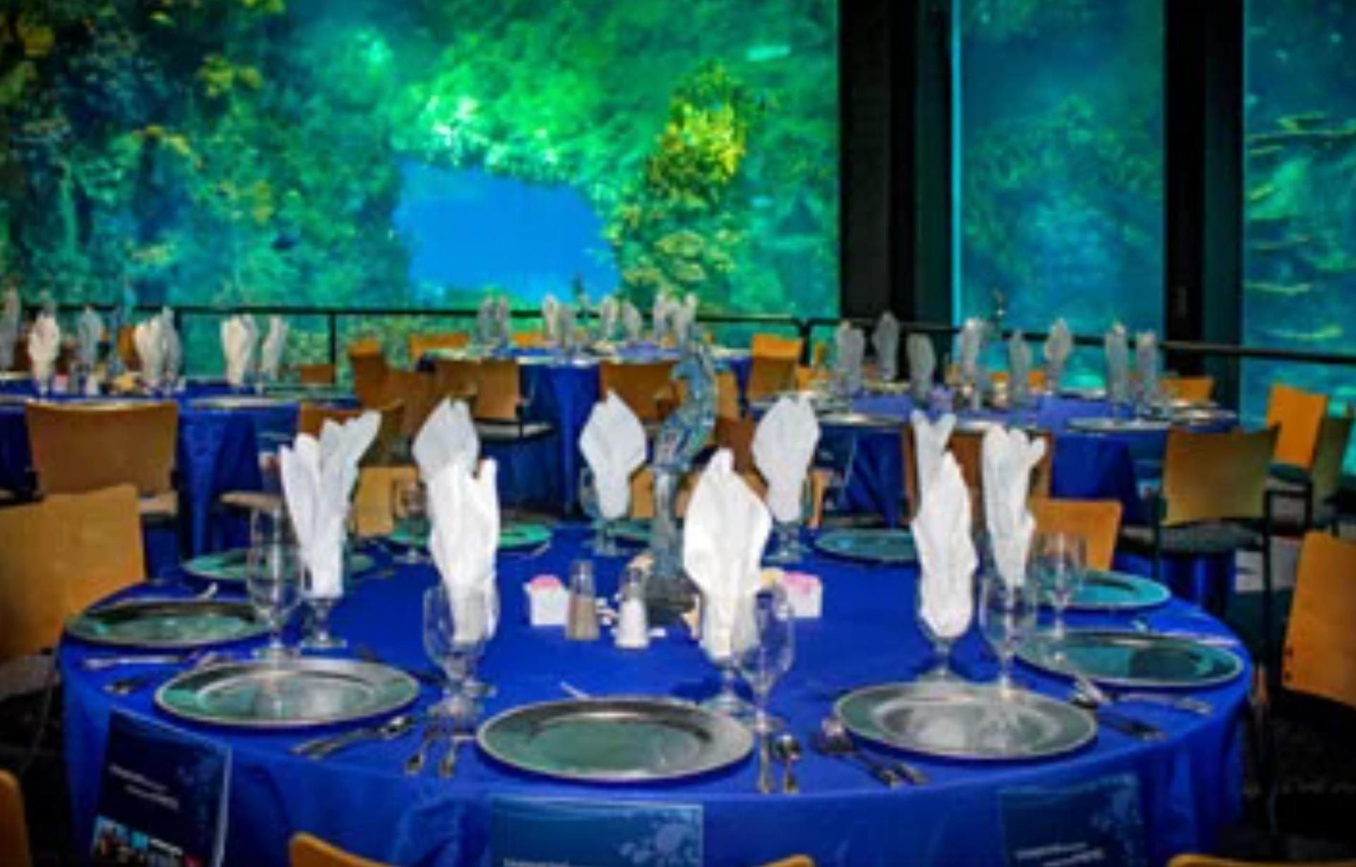 Explorer’s Reef