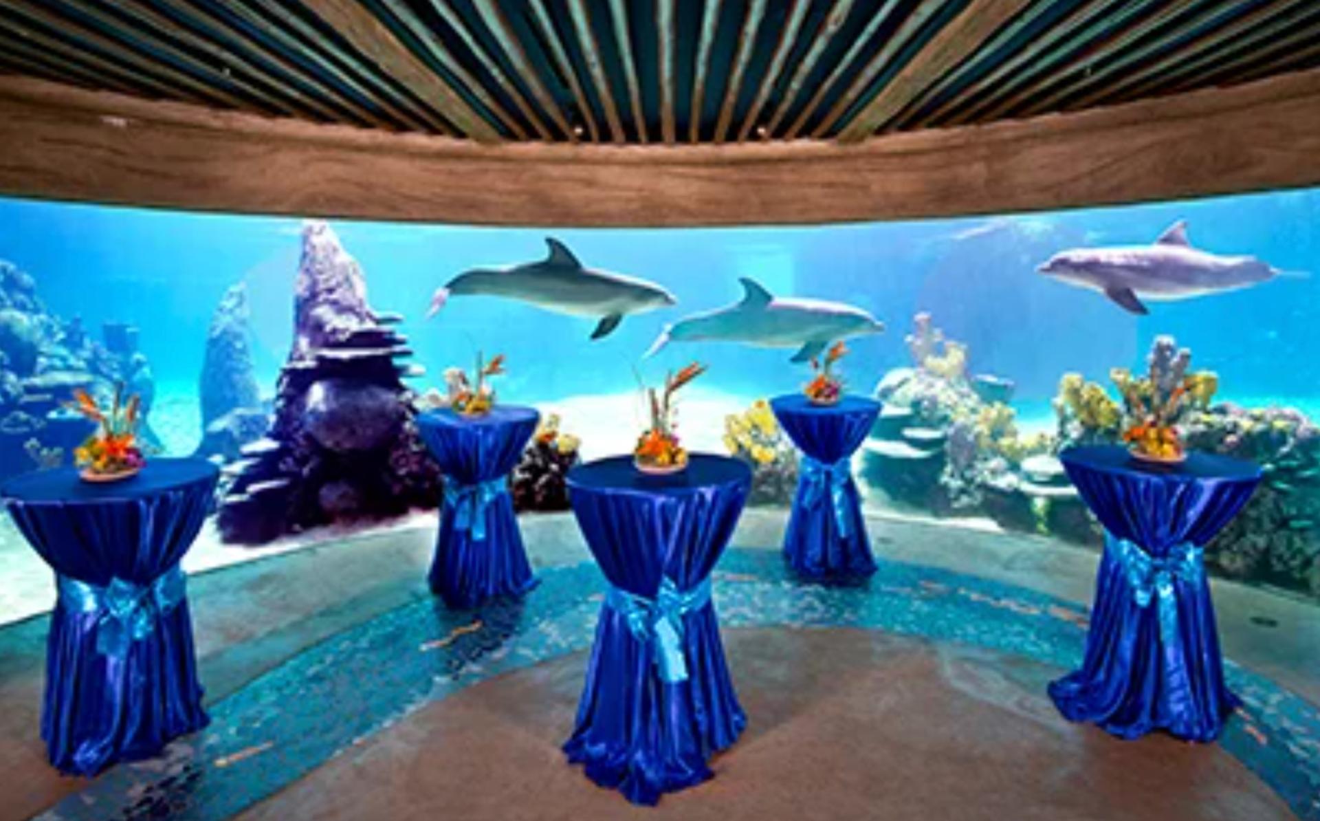 Underwater Viewing at Discovery Point
