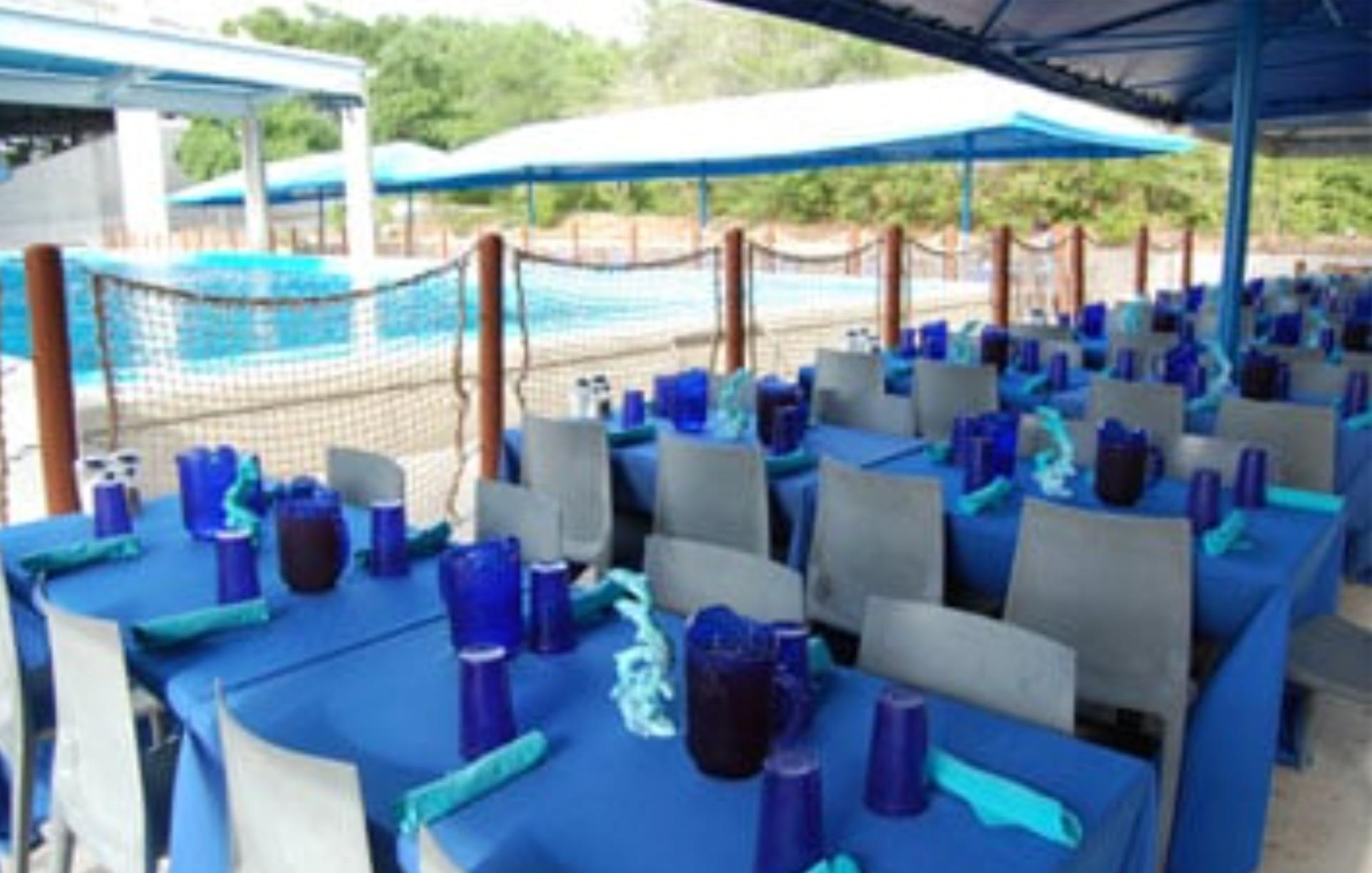 Dine With Orcas