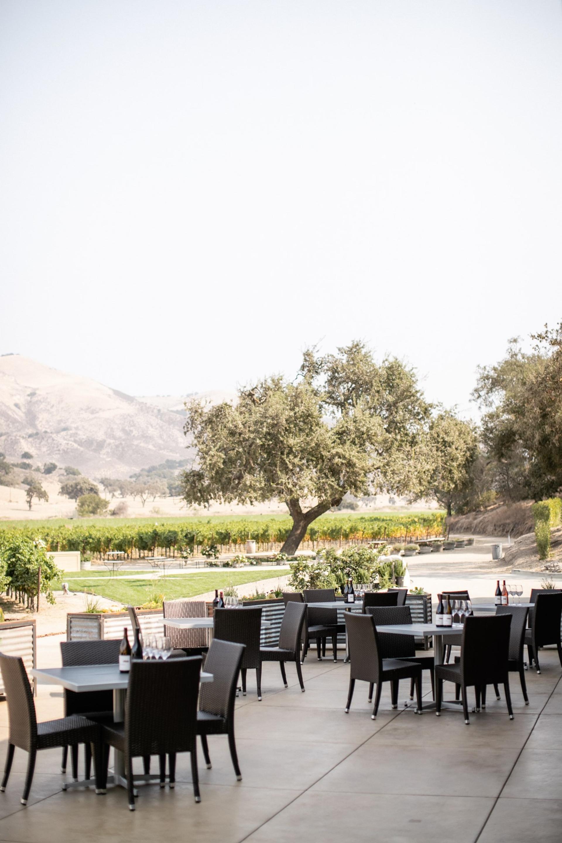 The Terrace