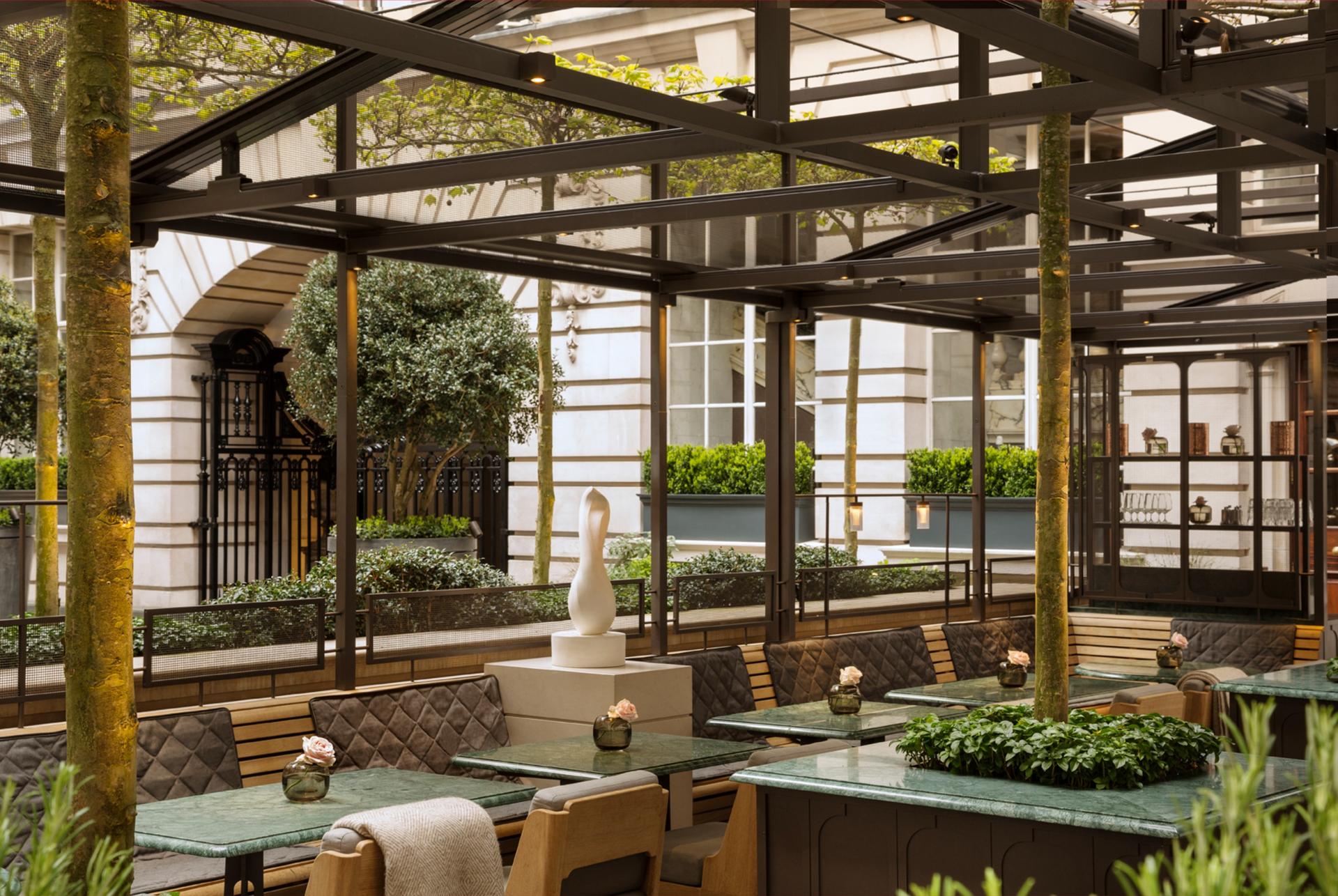 The Terrace