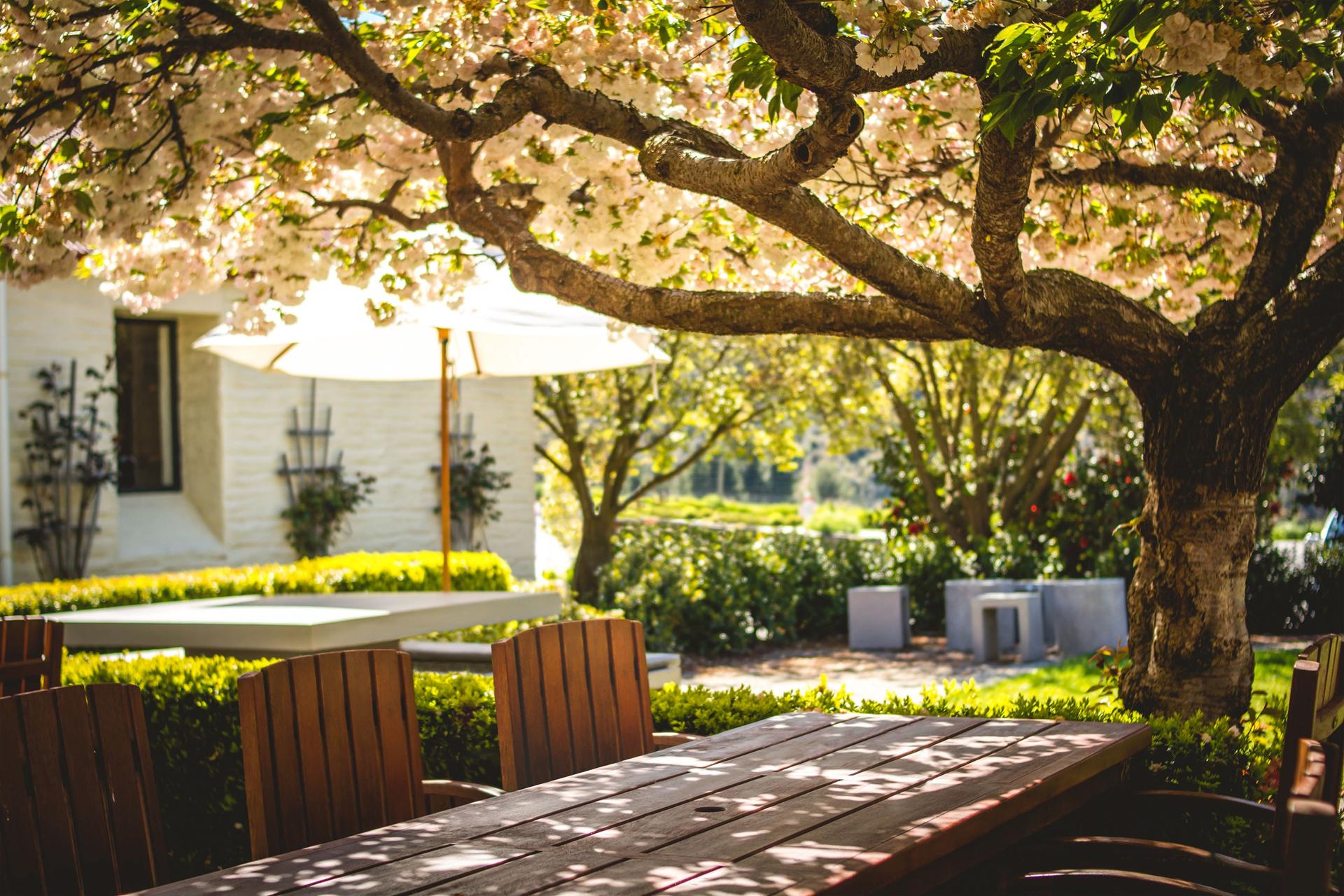 The Courtyard