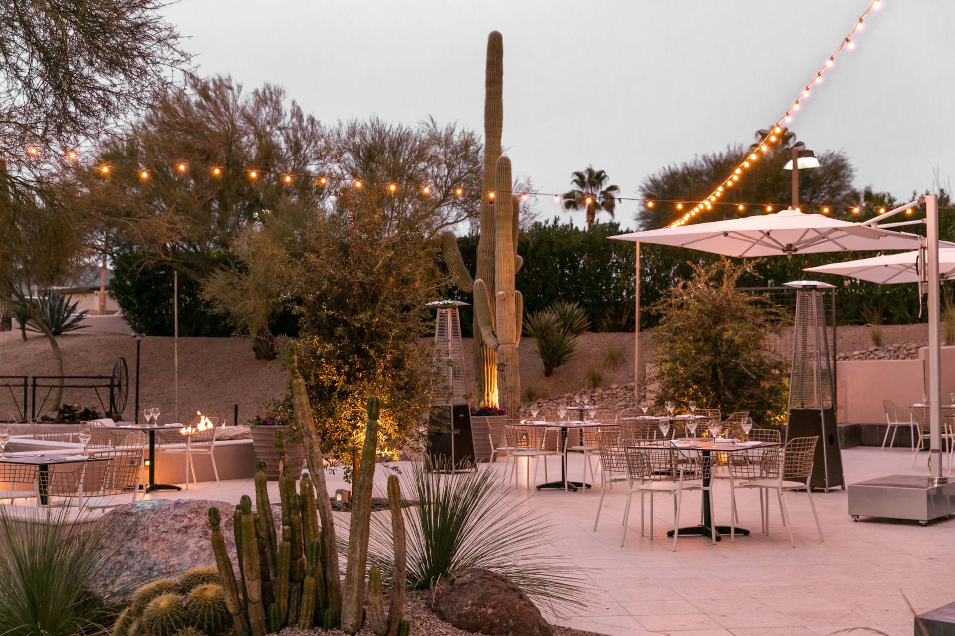 Seed Courtyard