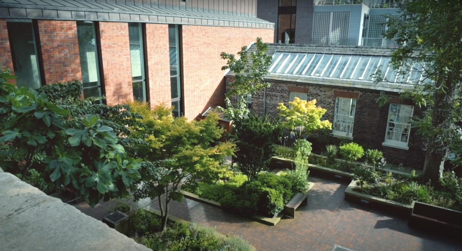The Garden