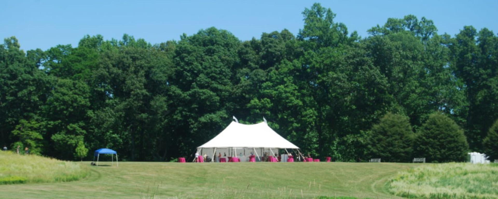 Lollipop Grove