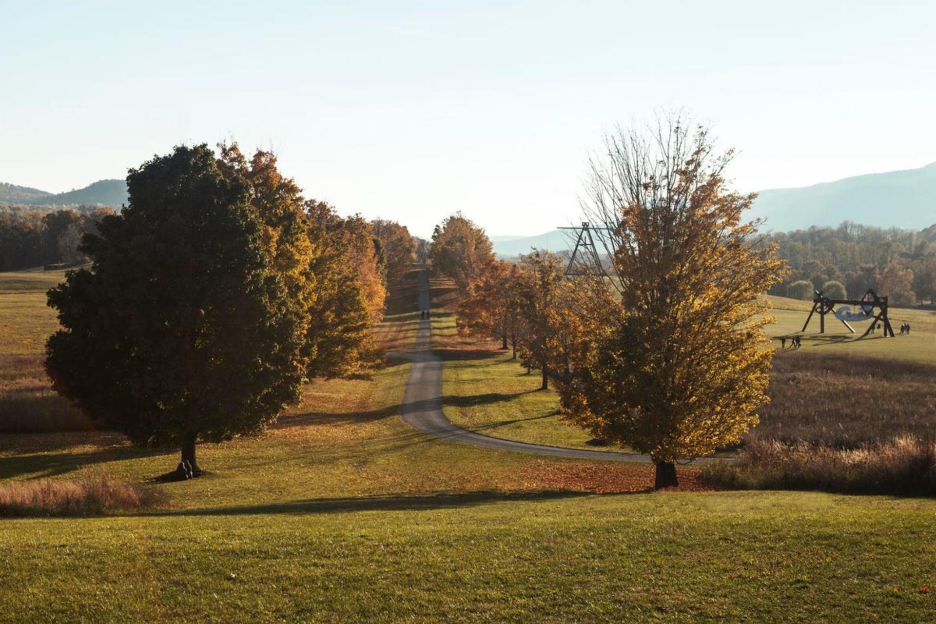 Museum Hill, Allee View