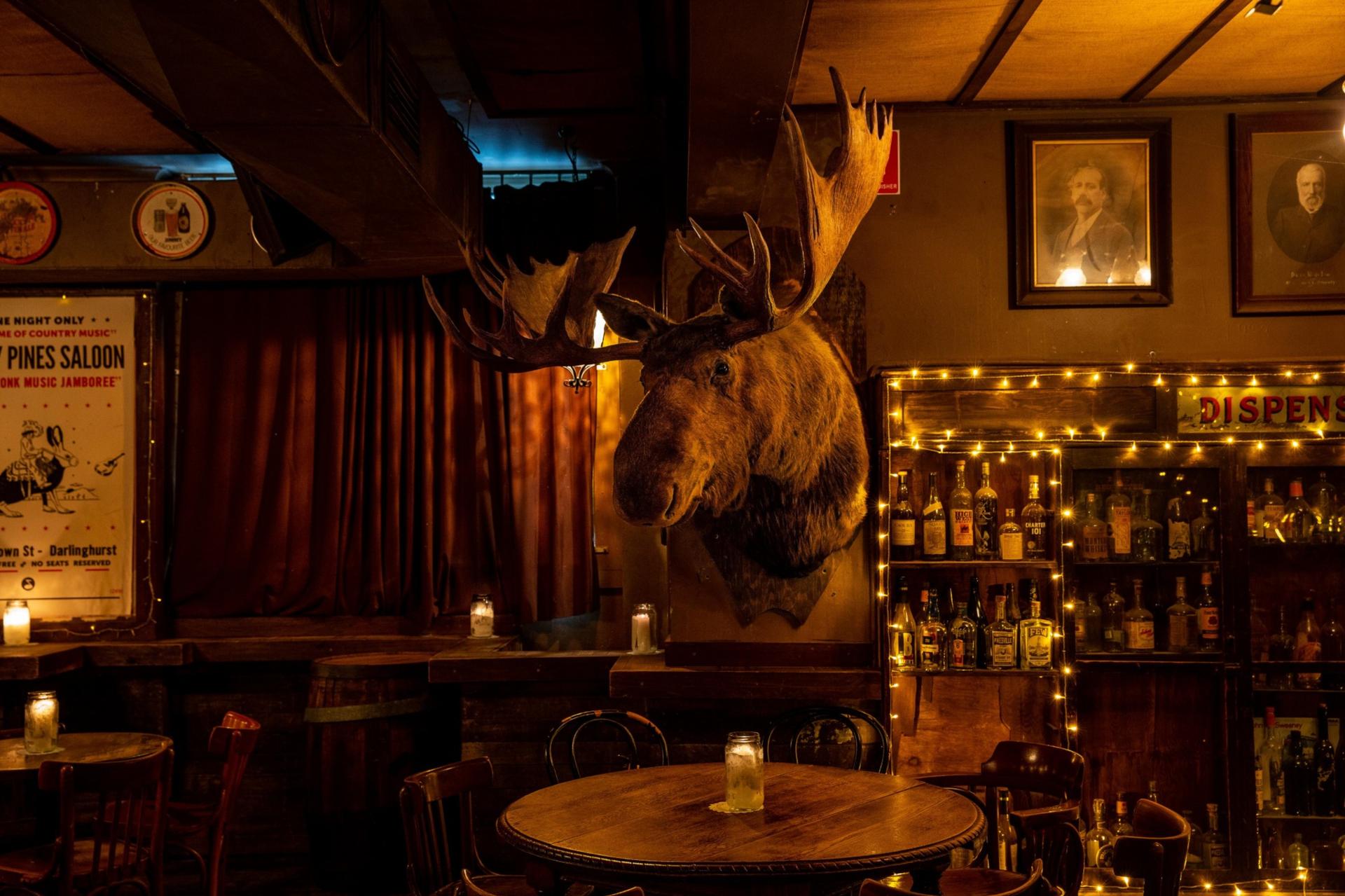 Full Buyout of Shady Pines Saloon