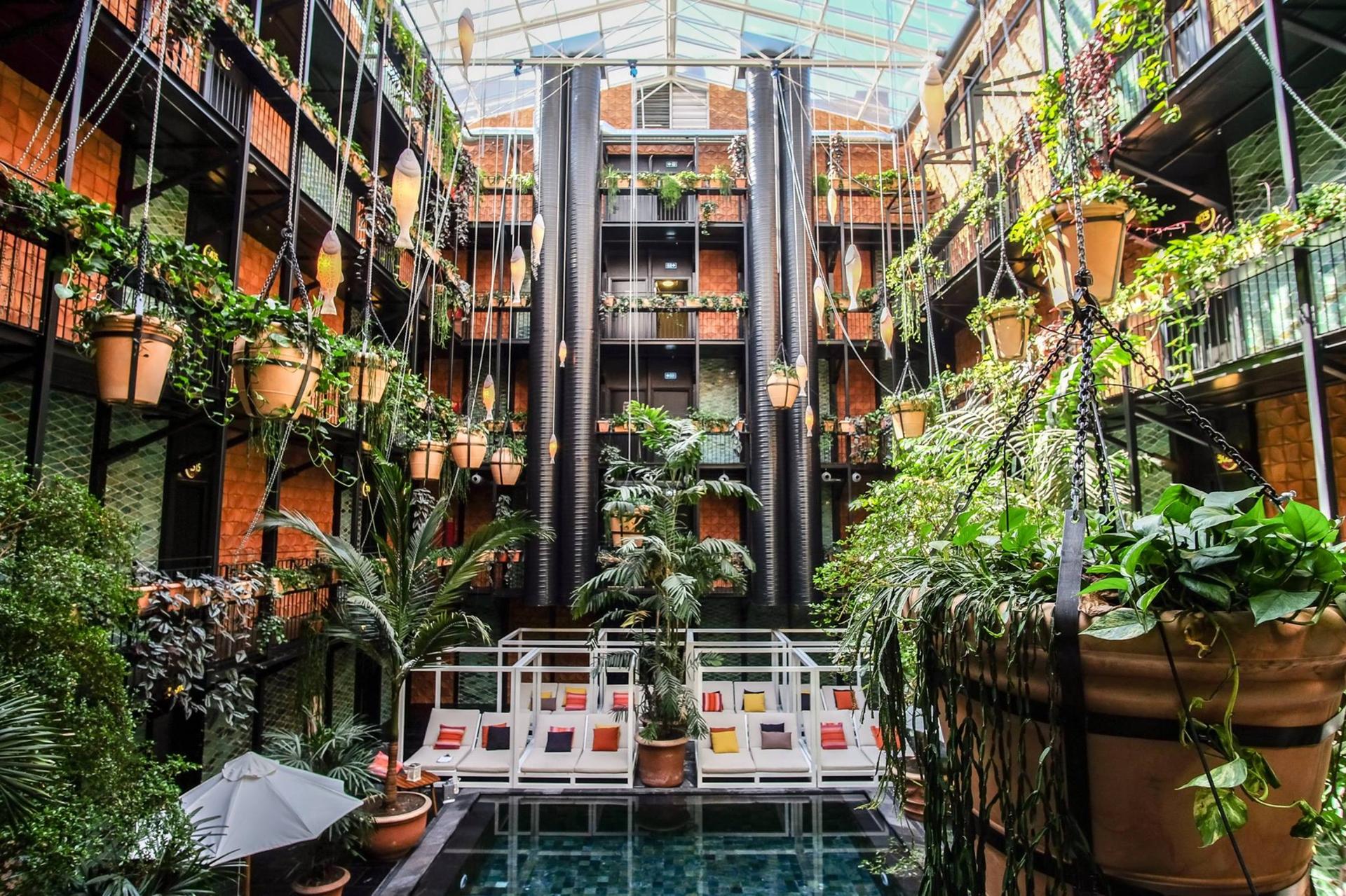 The Junglefish Pool & Bar