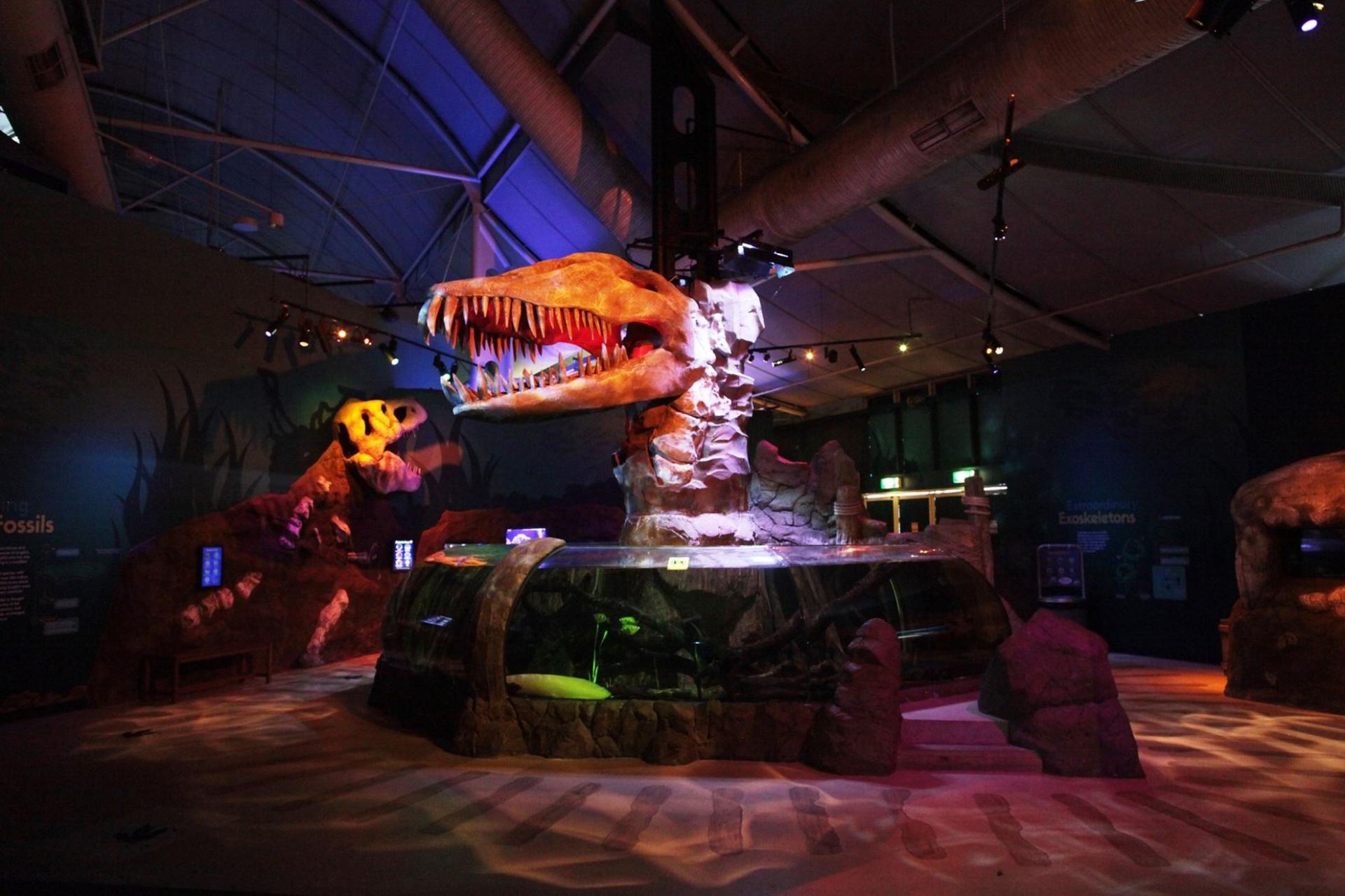 Jurassic Seas