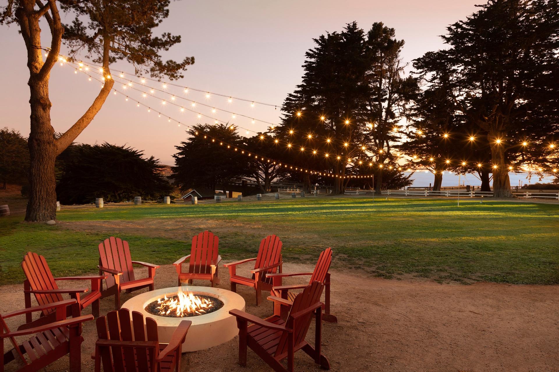 Sundance Lawn