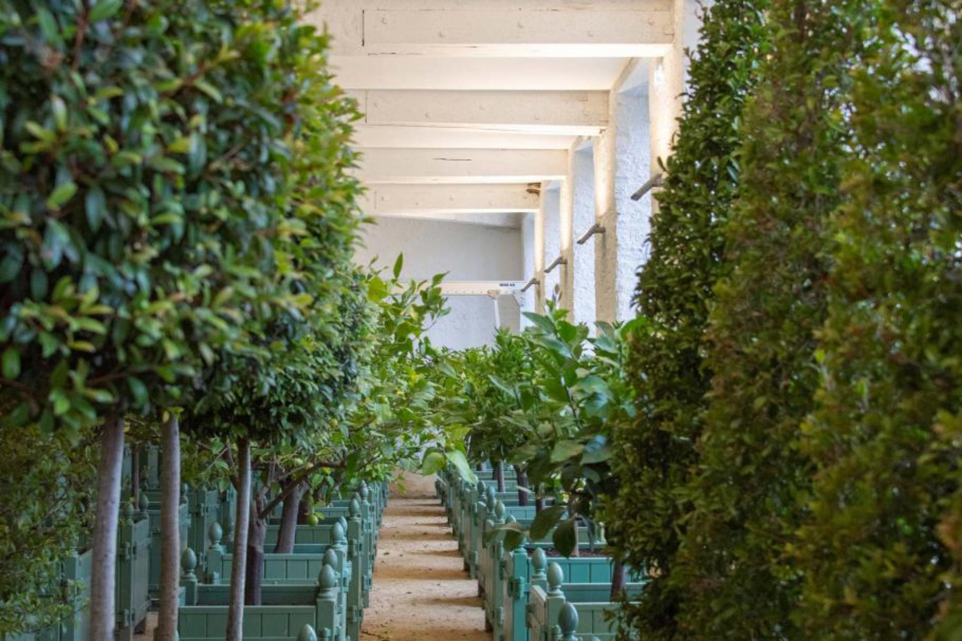 Châteauneuf Orangery