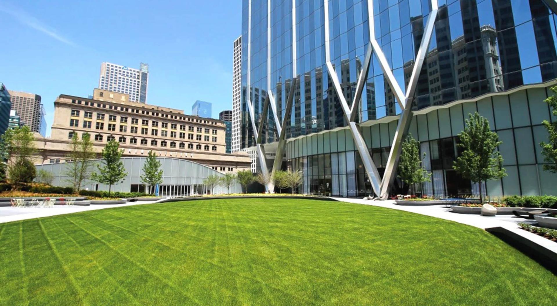 Main Lawn