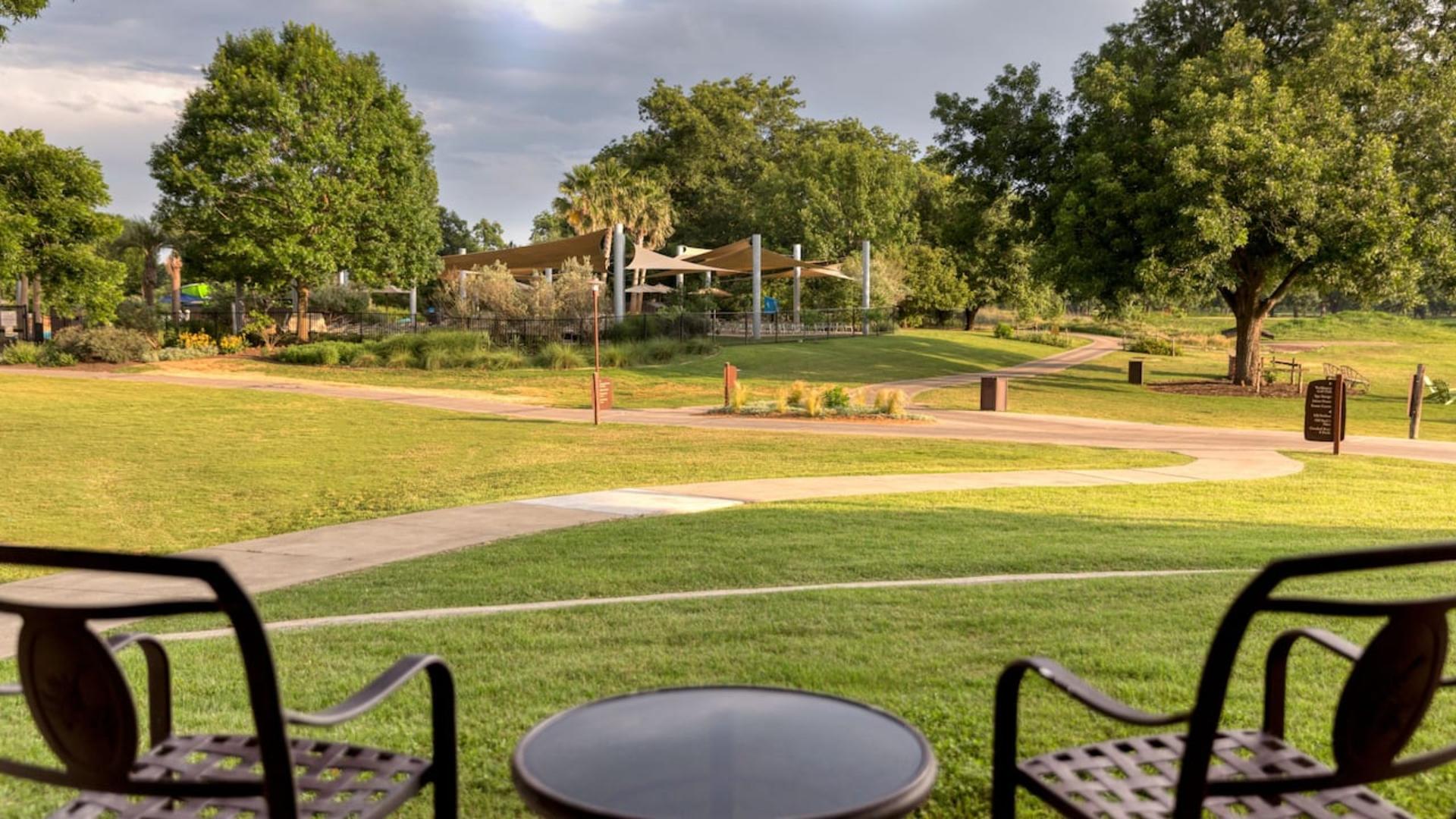 The Backyard