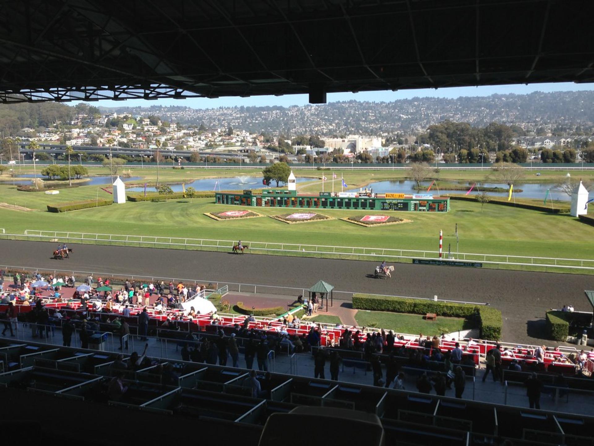 The Turf Terrace